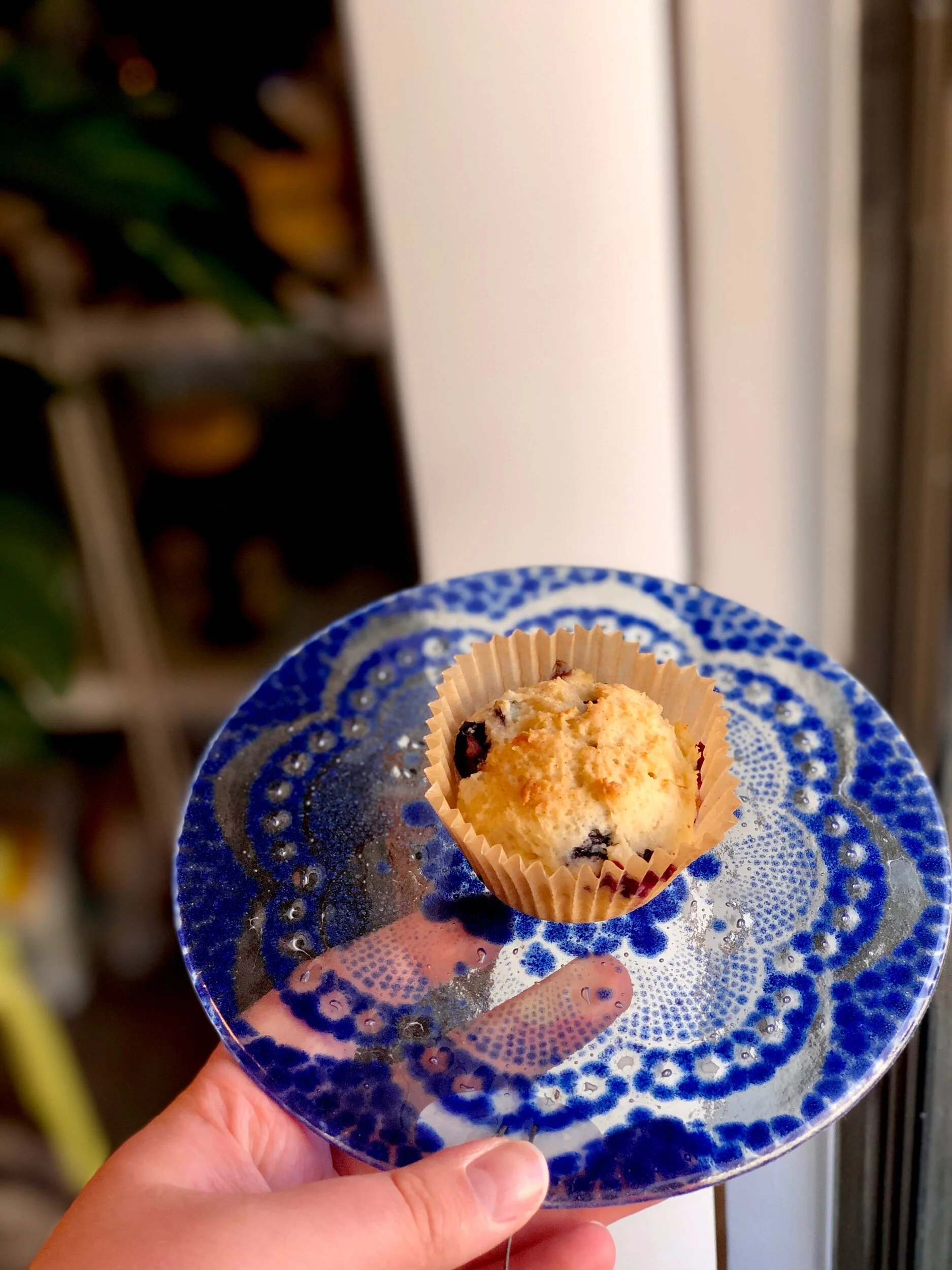 Blueberry Muffins