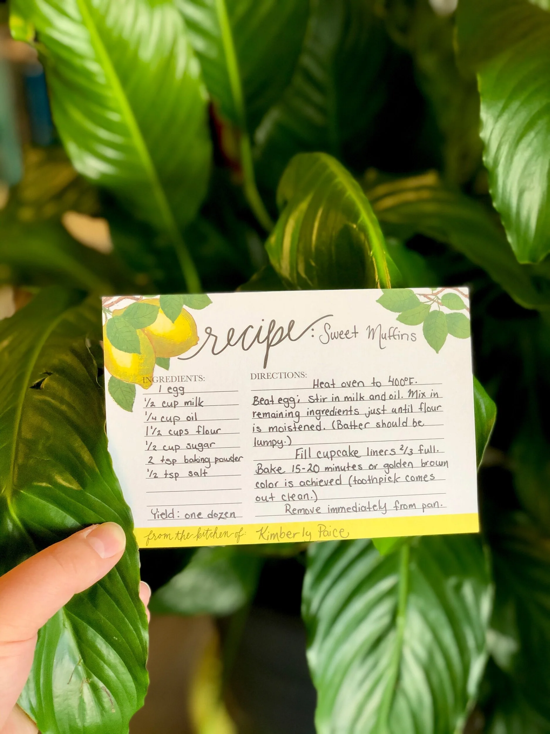 This is the unadapted recipe as it appears in the Betty Crocker cookbook — perfect for enriched all-purpose  wheat flours!