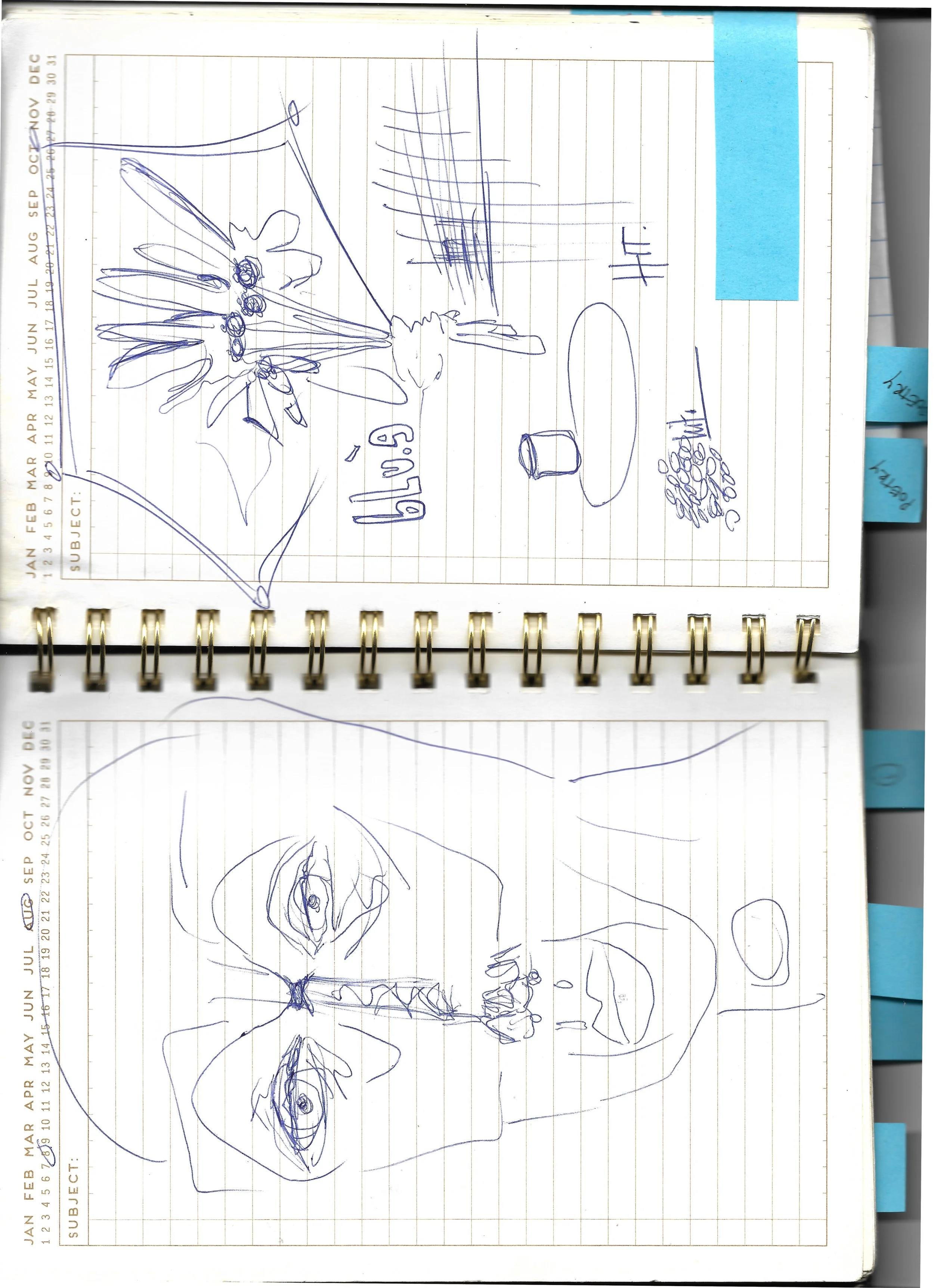 why did you bring it here? tell me&nbsp;