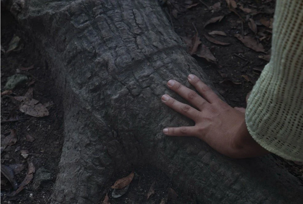 New Moon Meditation (online)