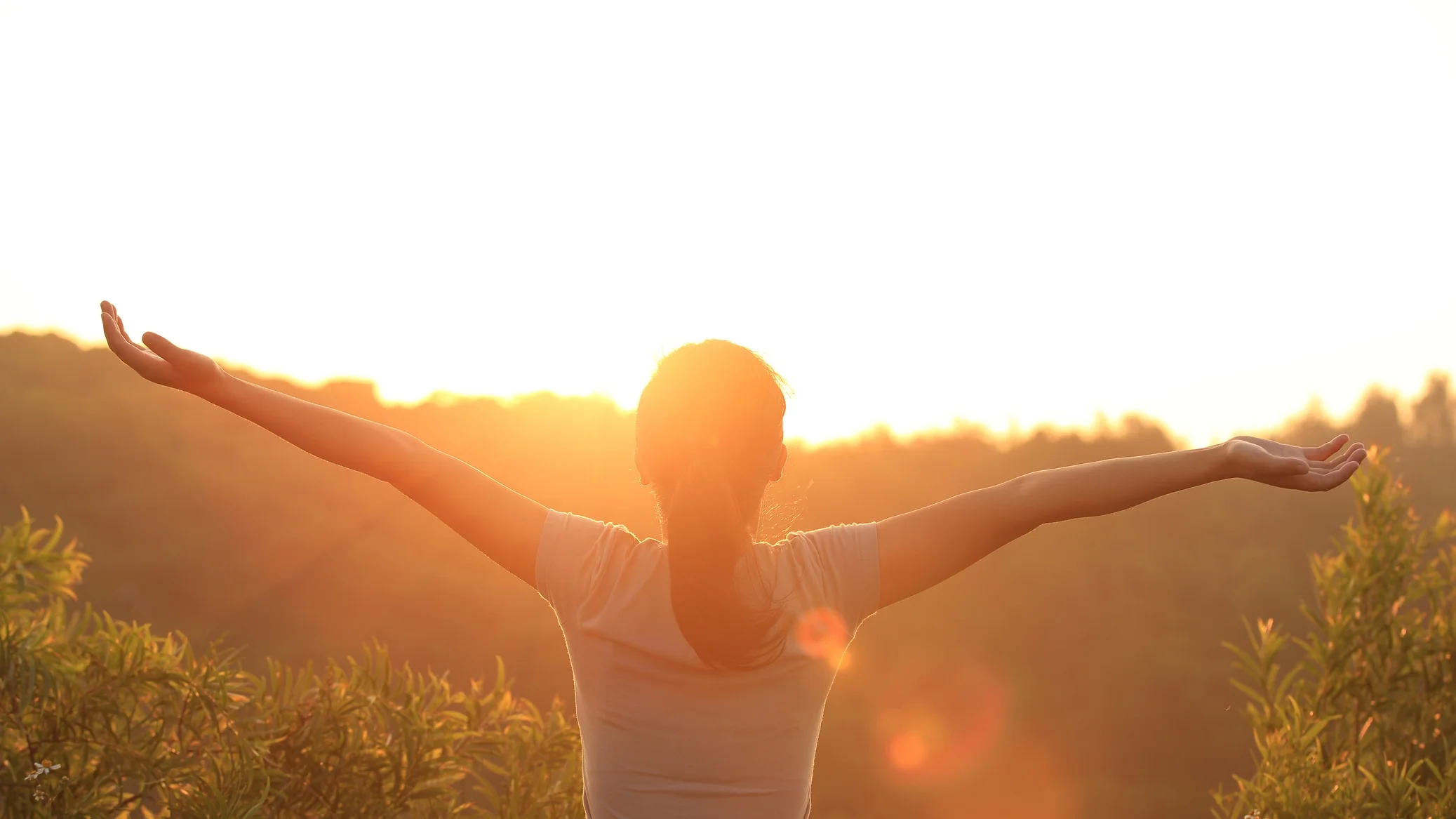 Vitamin D, VDRs, Mast Cell Activation and Oxidative Stress