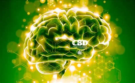 CBD.jpg
