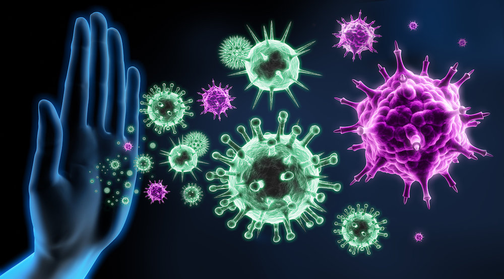 Viruses-Methylation-and-the-Functional-Approach-to-Regaining-Whole-Health.jpeg