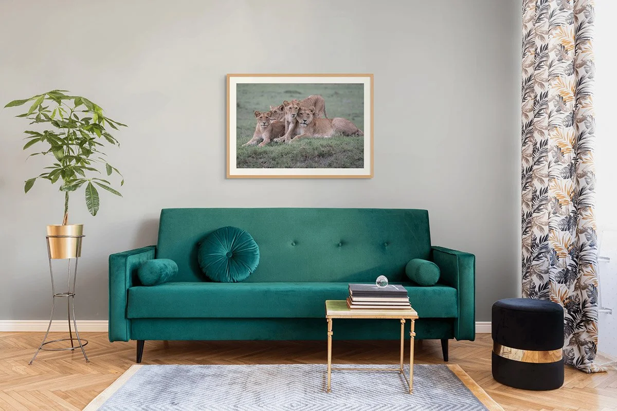 lion family portrait.jpg