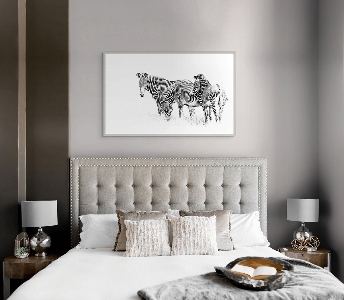 grevy zebra.jpg