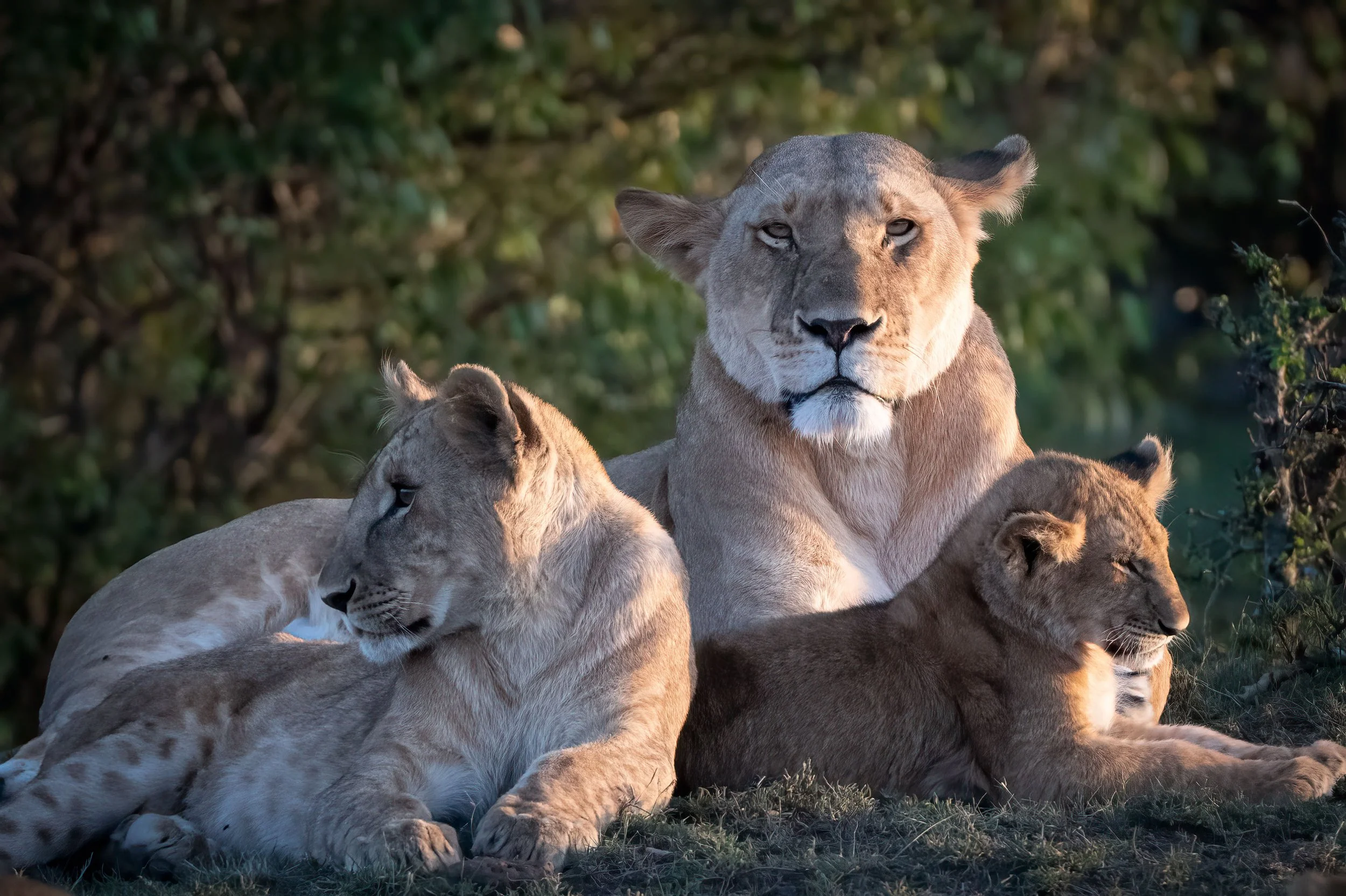 Celebrating Motherhood