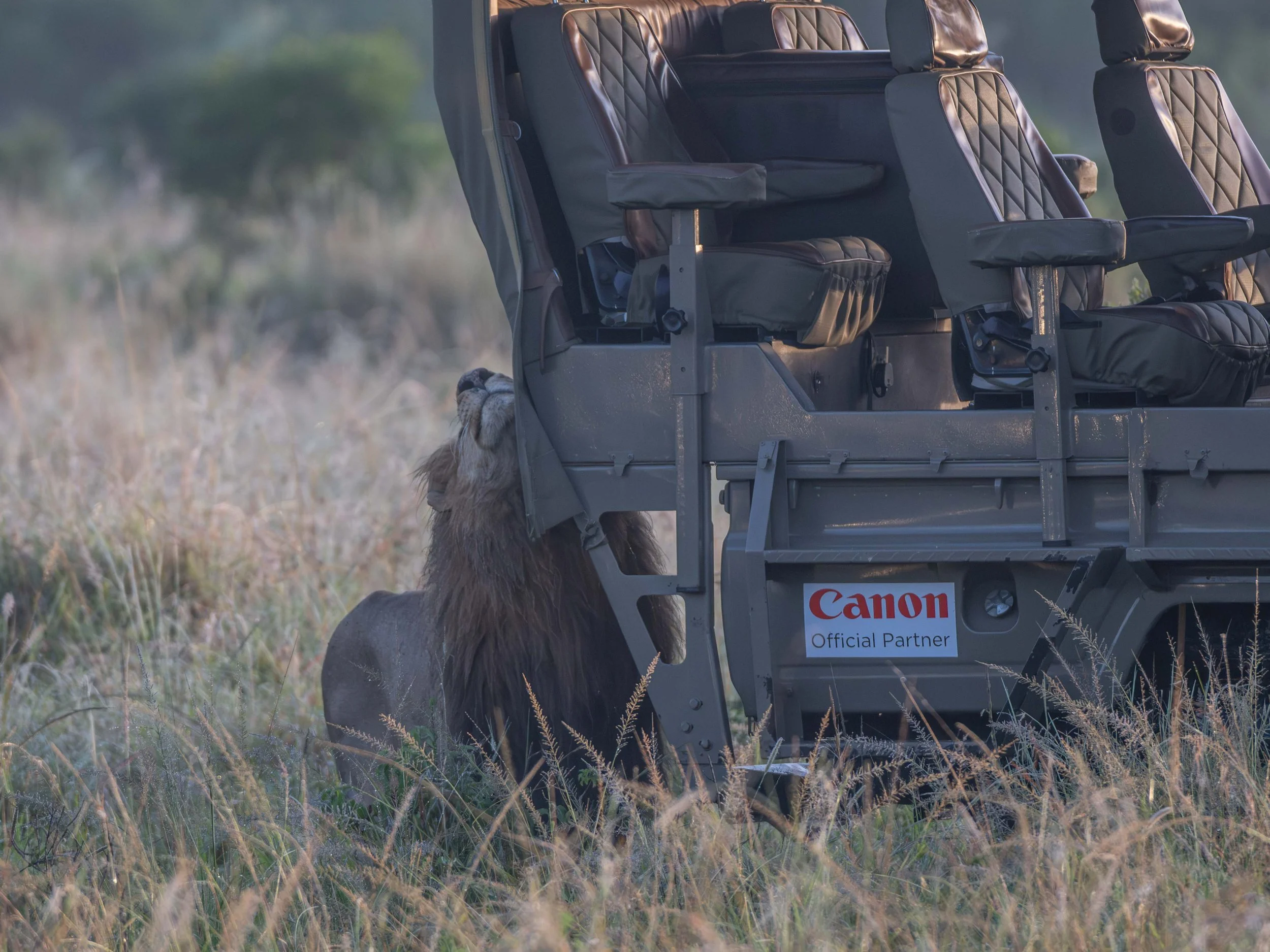 Oloimina: A Close Encounter with One of Africa’s Legends&nbsp;