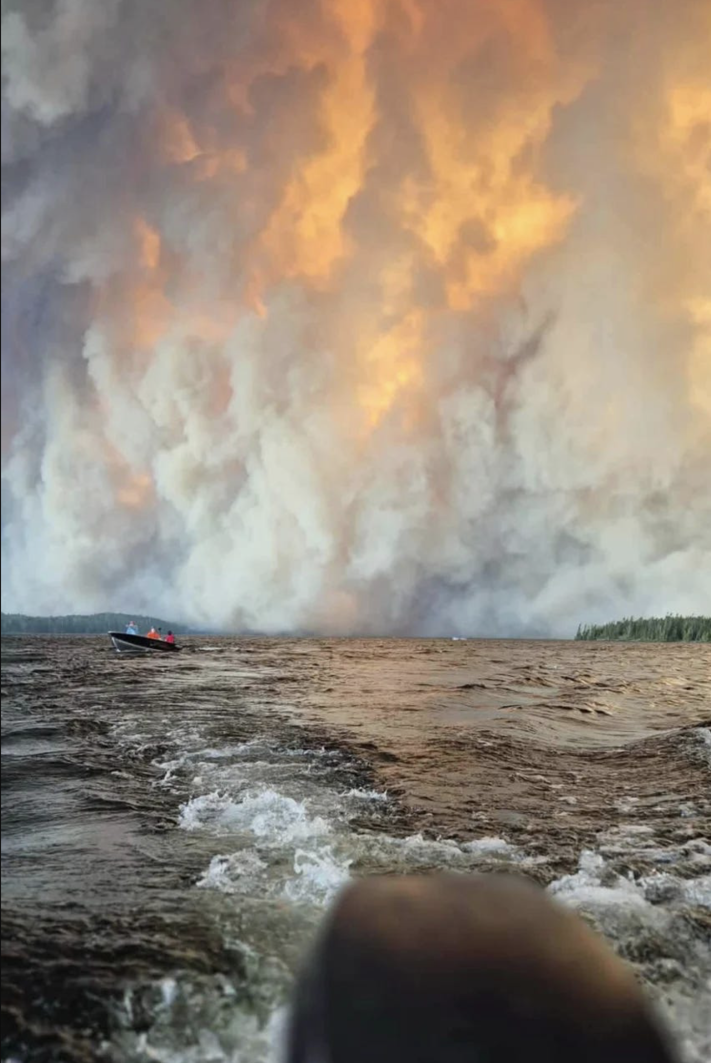 My Homeland is on Fire