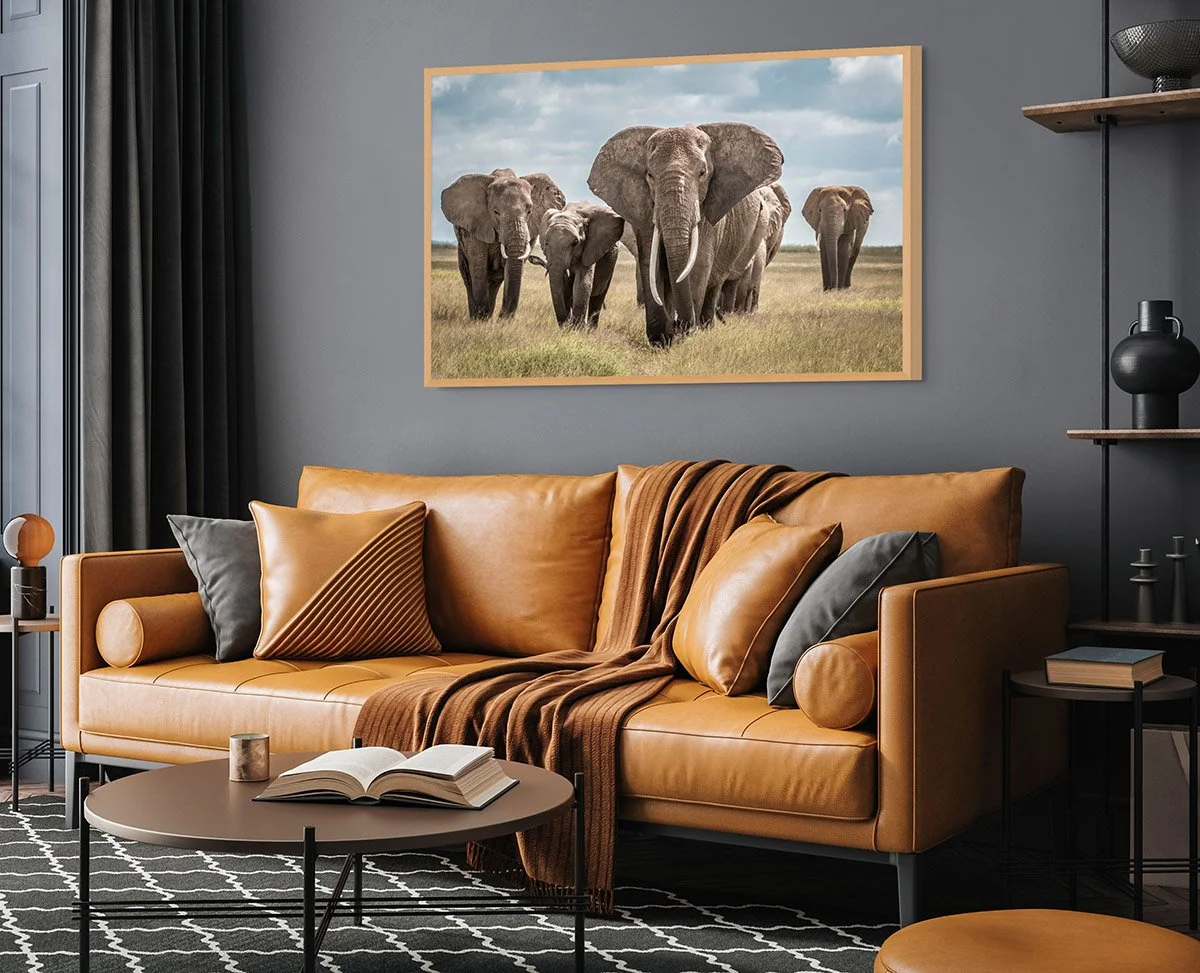 amboseli family.jpg