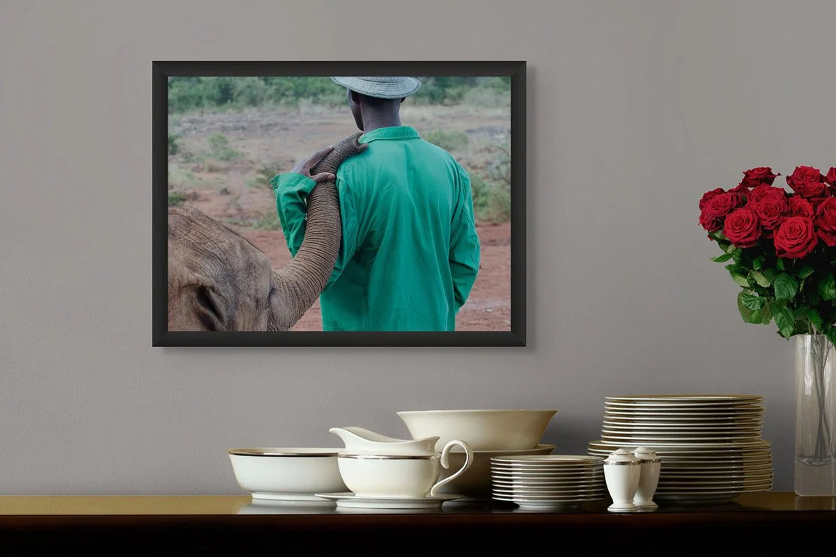 for the love of elephants.jpg