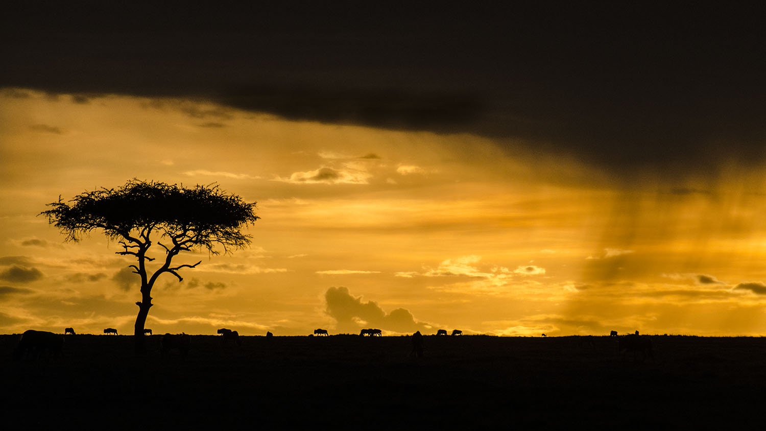 Mara Sunset website.jpg