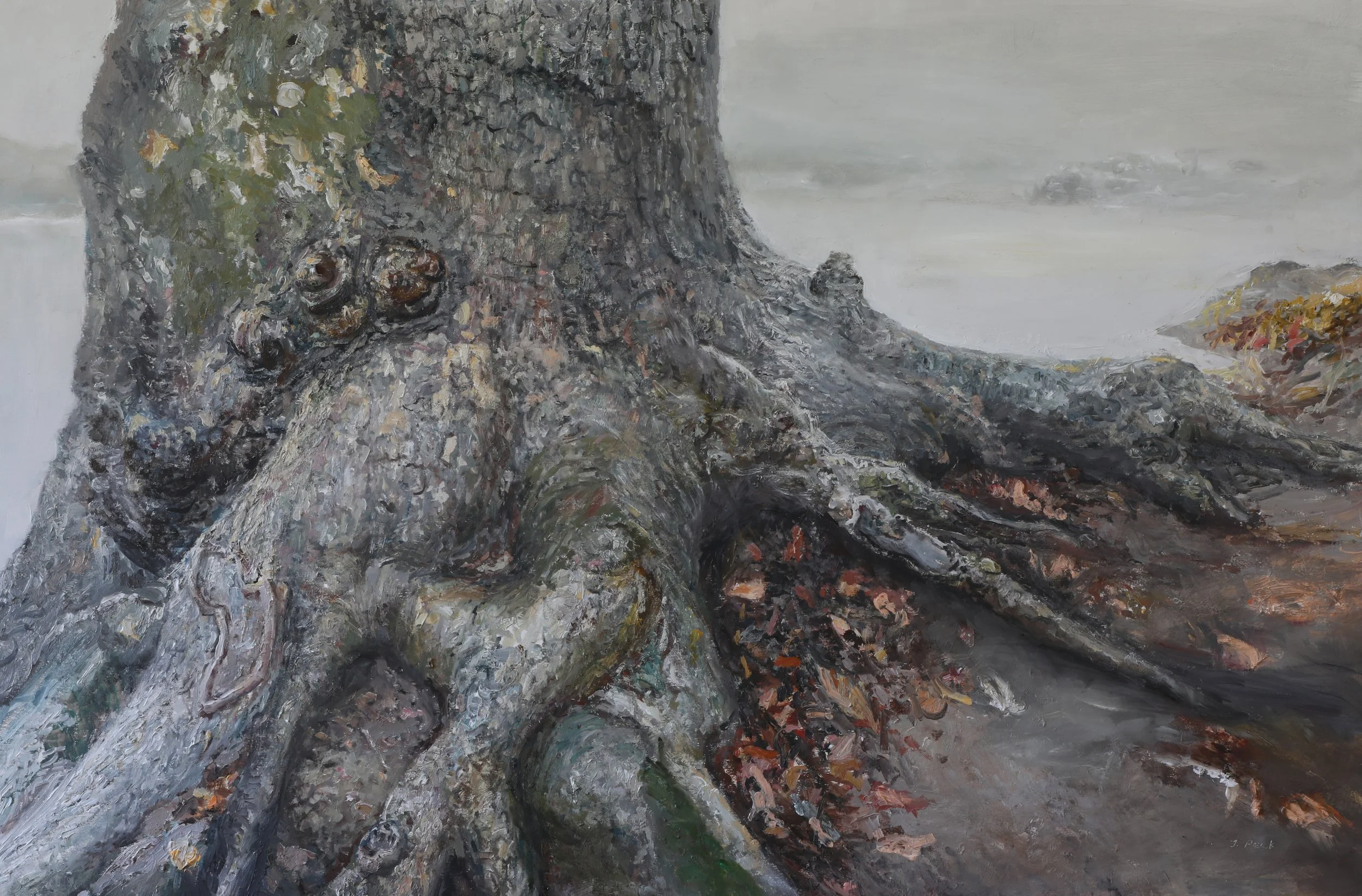 The Nature of Complexities (Available)
