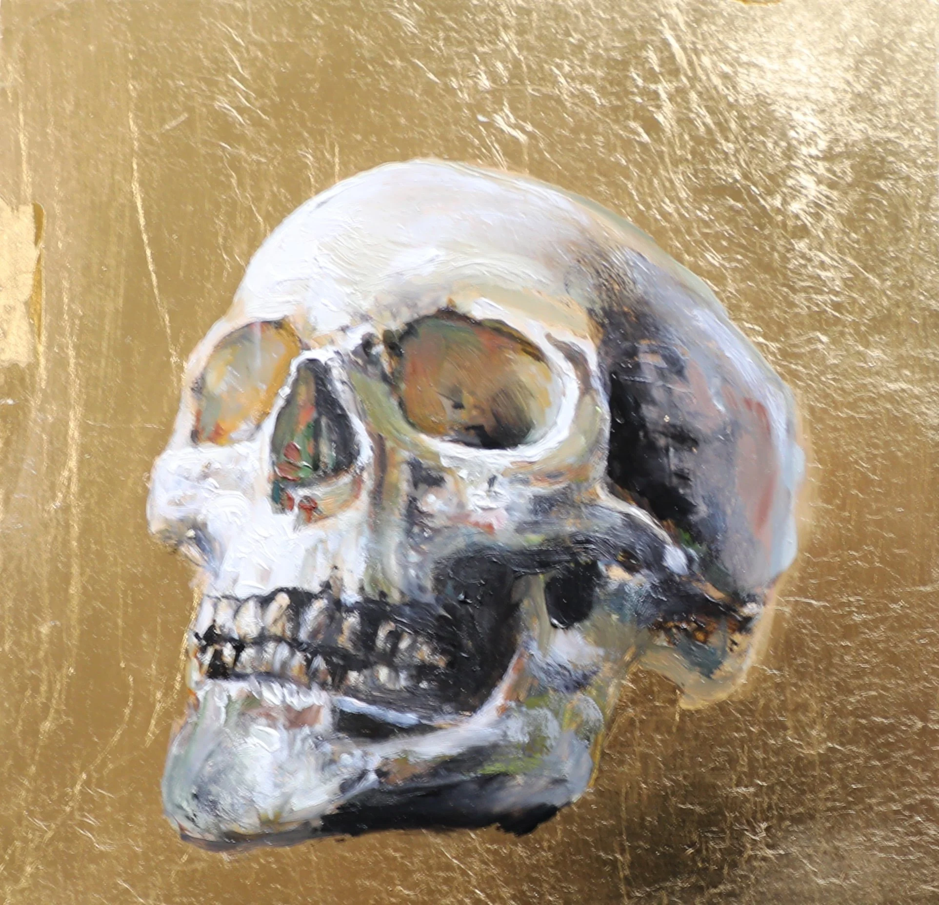 Skull  (Available at Adah Rose Gallery and on Artsy.net)