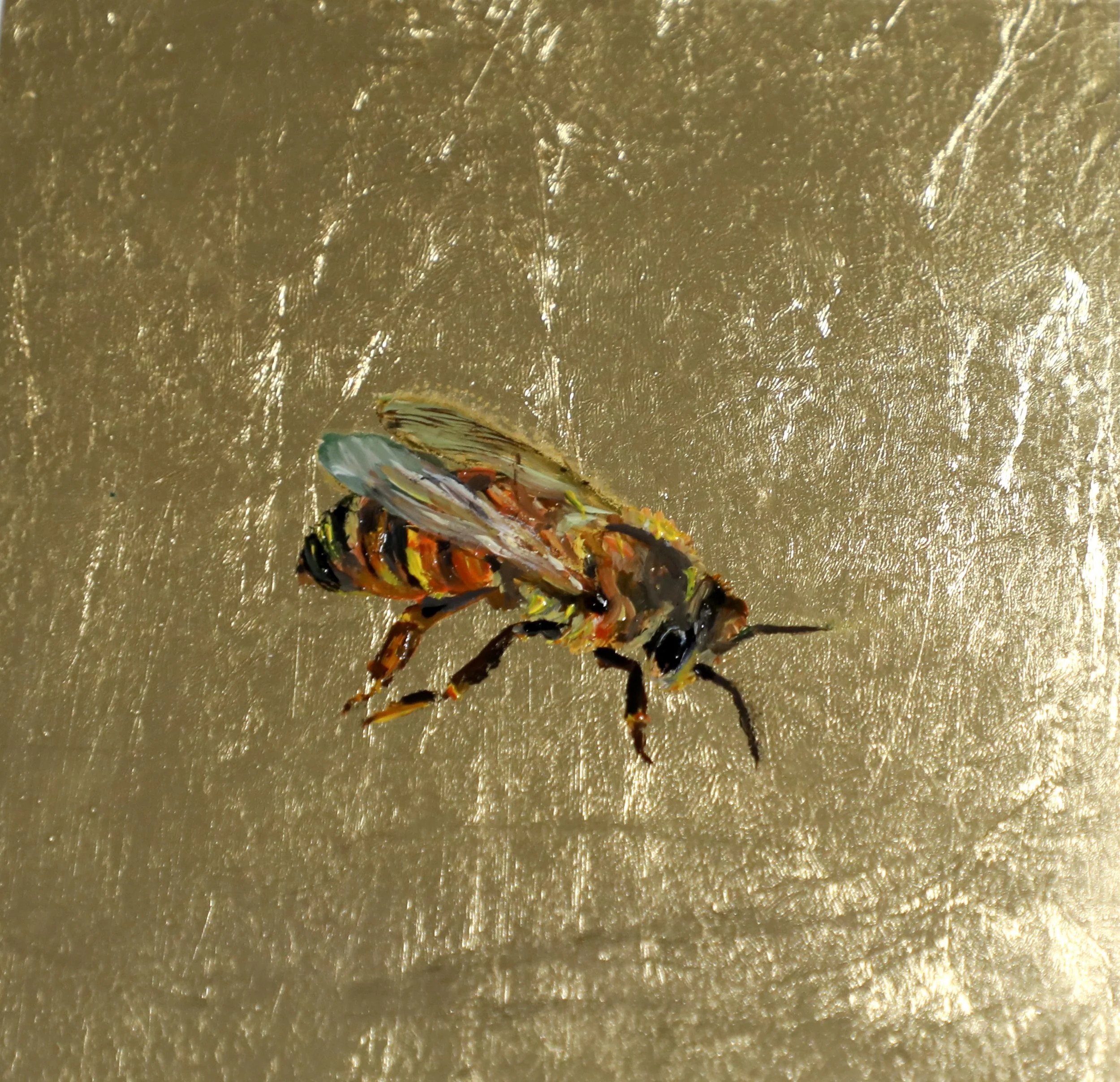Honey Bee (Available)
