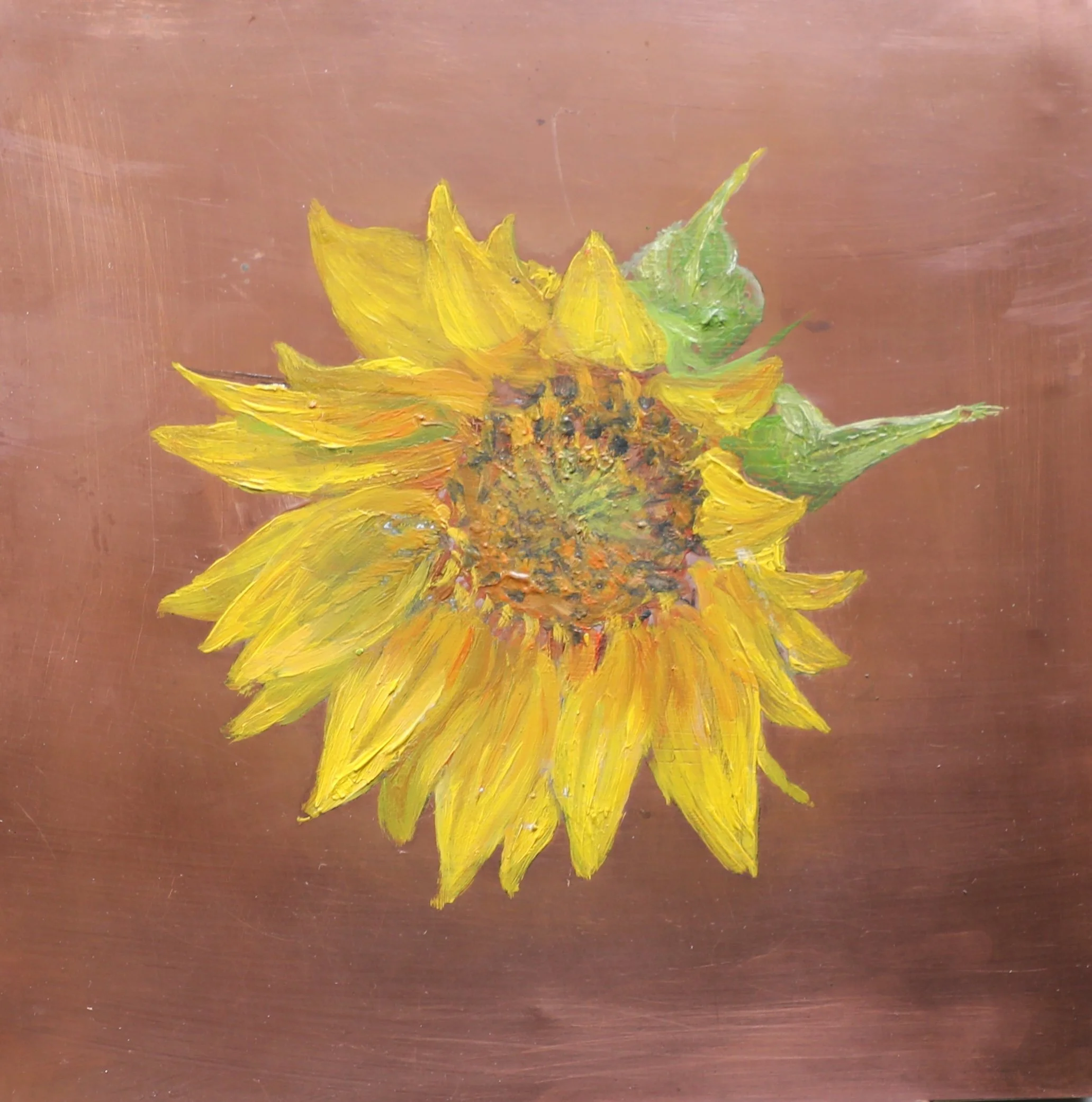 Sunflower (Available)