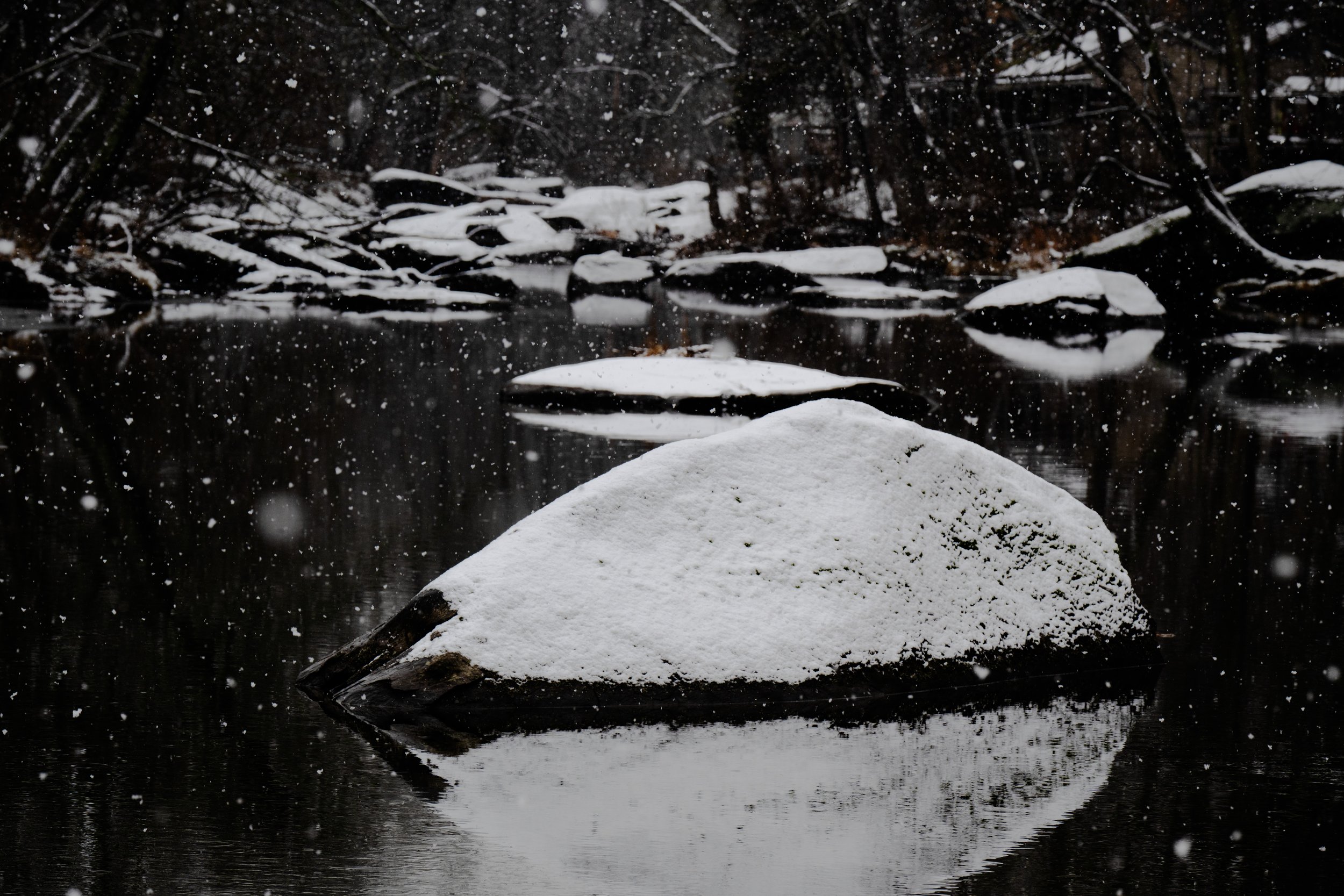 outer space in the creek.jpg