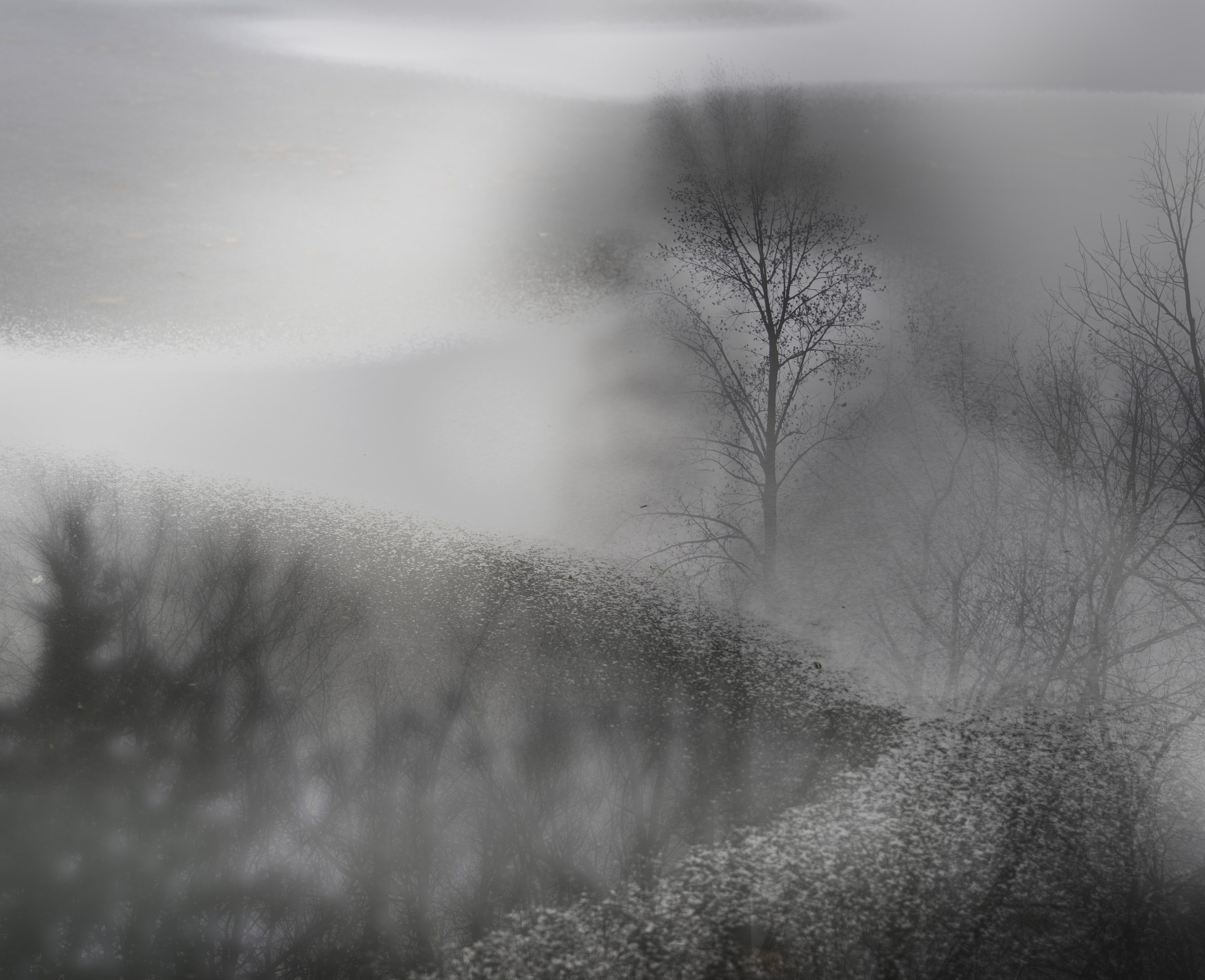 new snow image composite.jpg