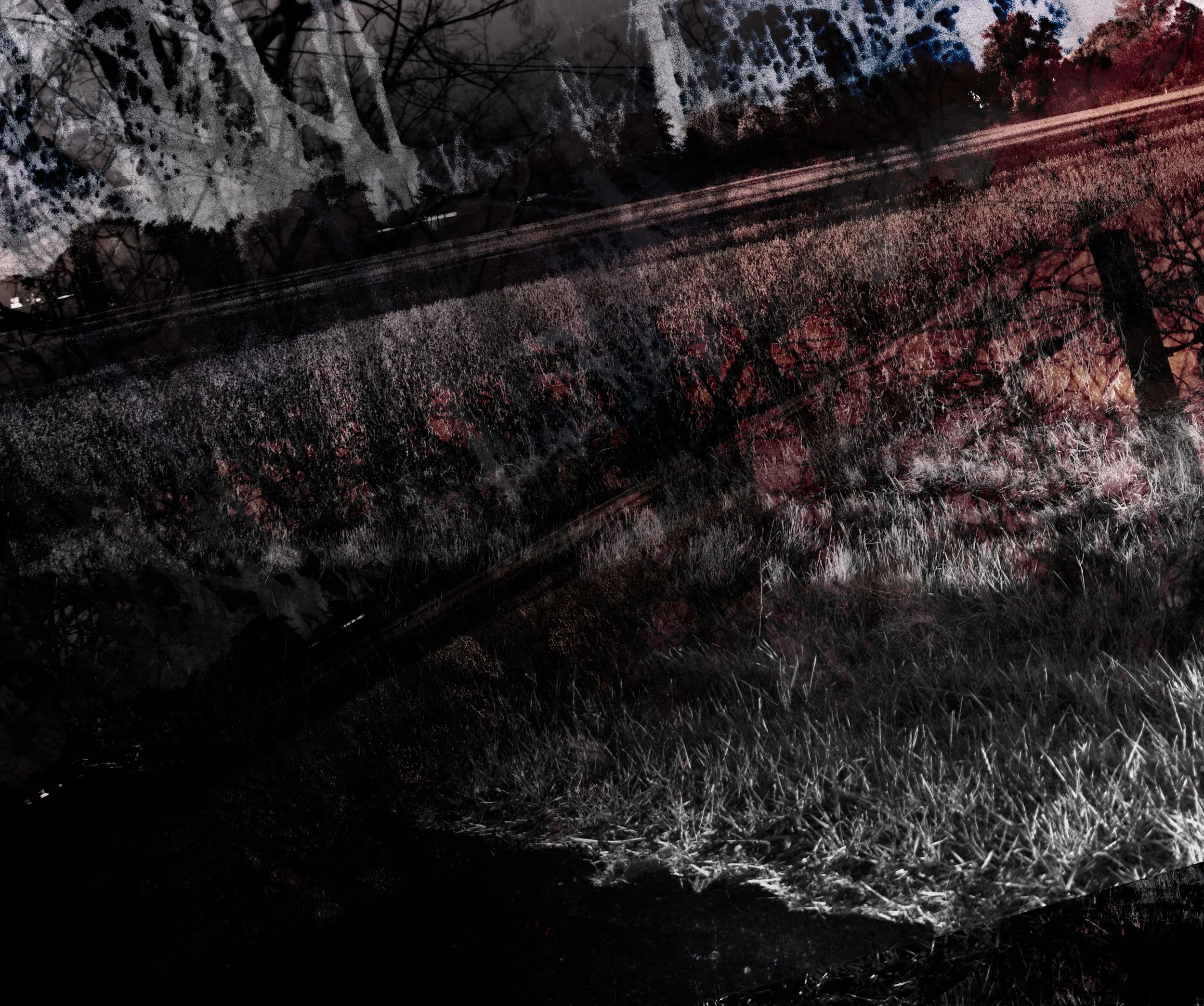 experimenting with composite.jpg