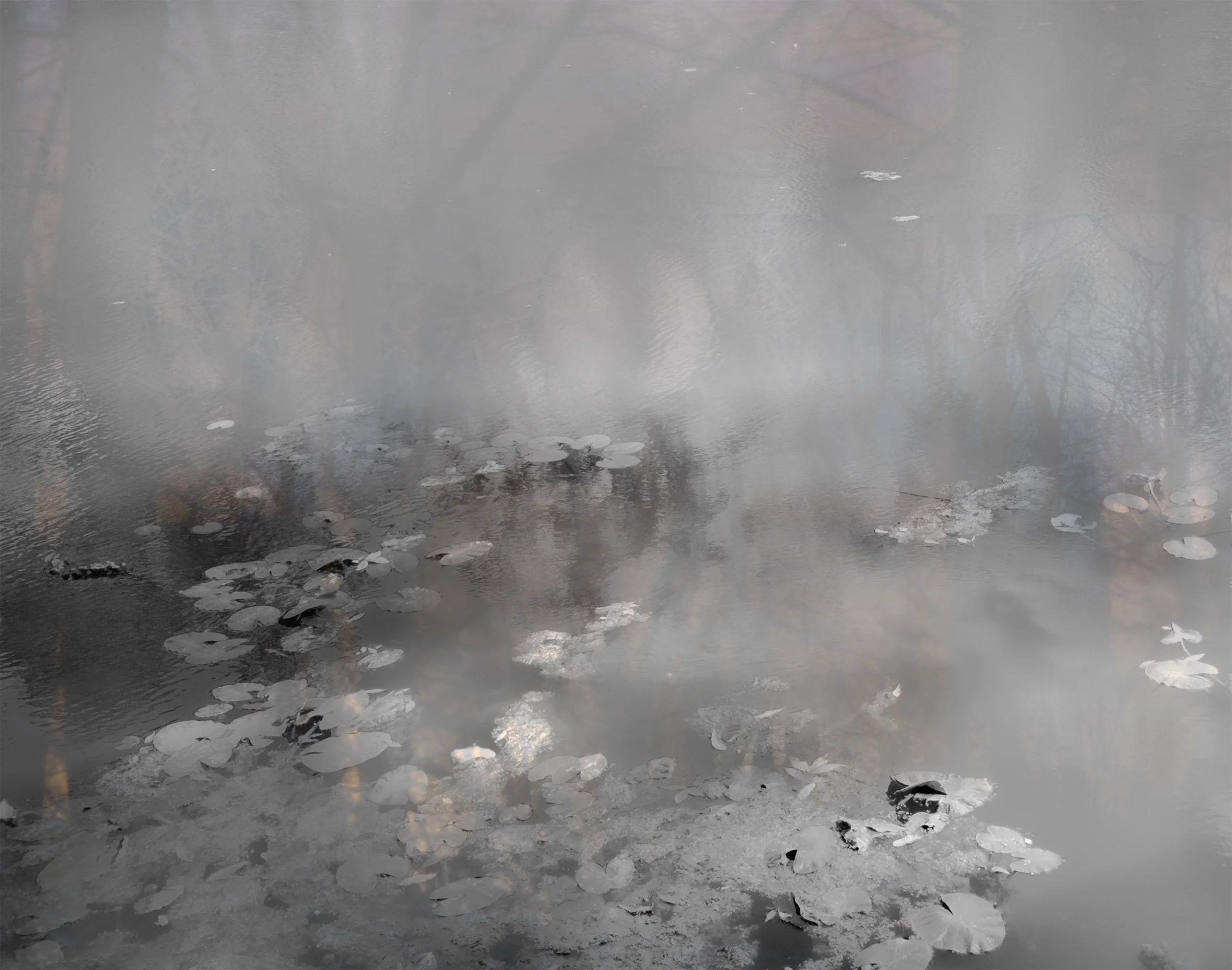 b&W drone creek landscape.jpg