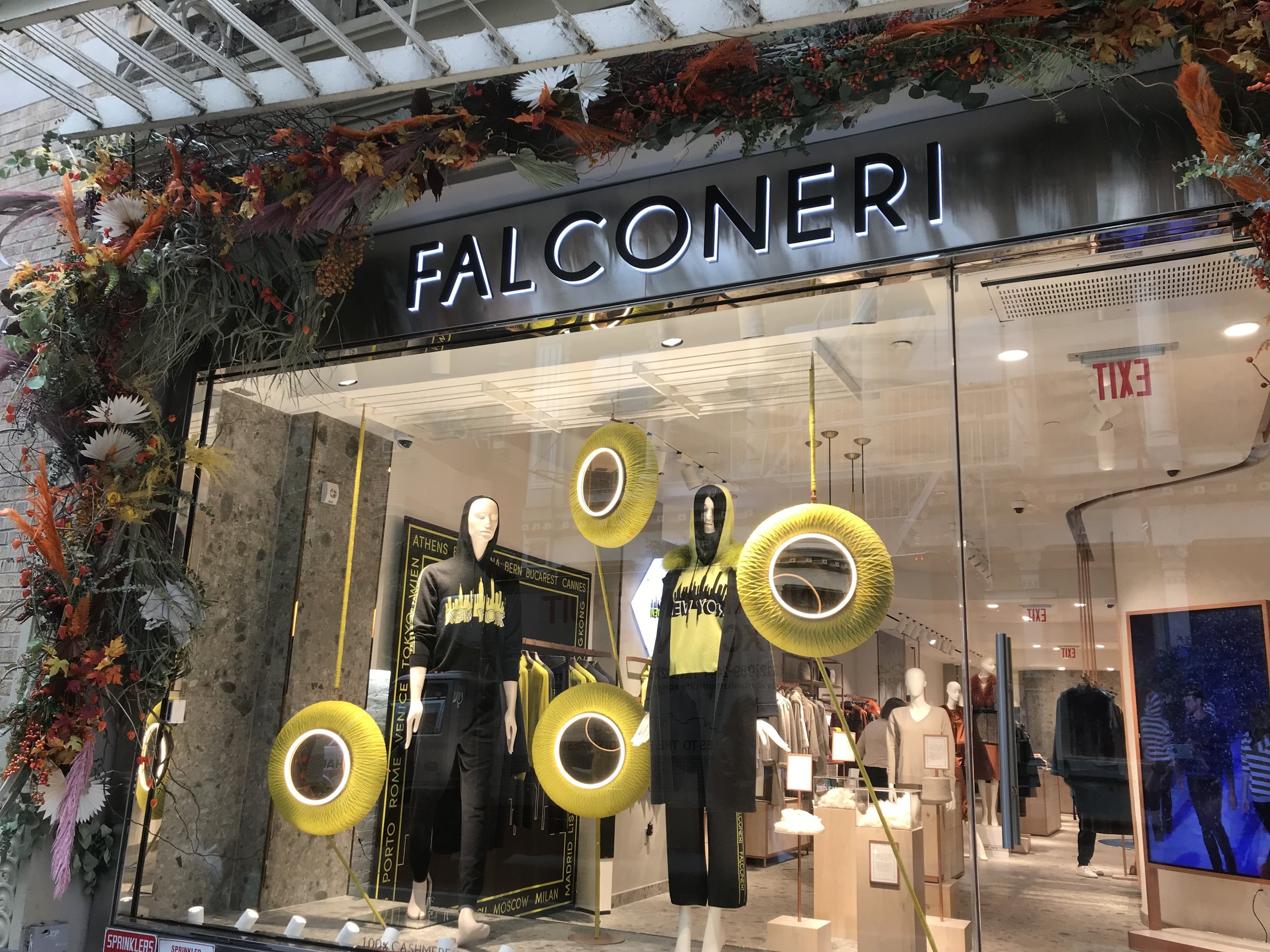 Falconeri