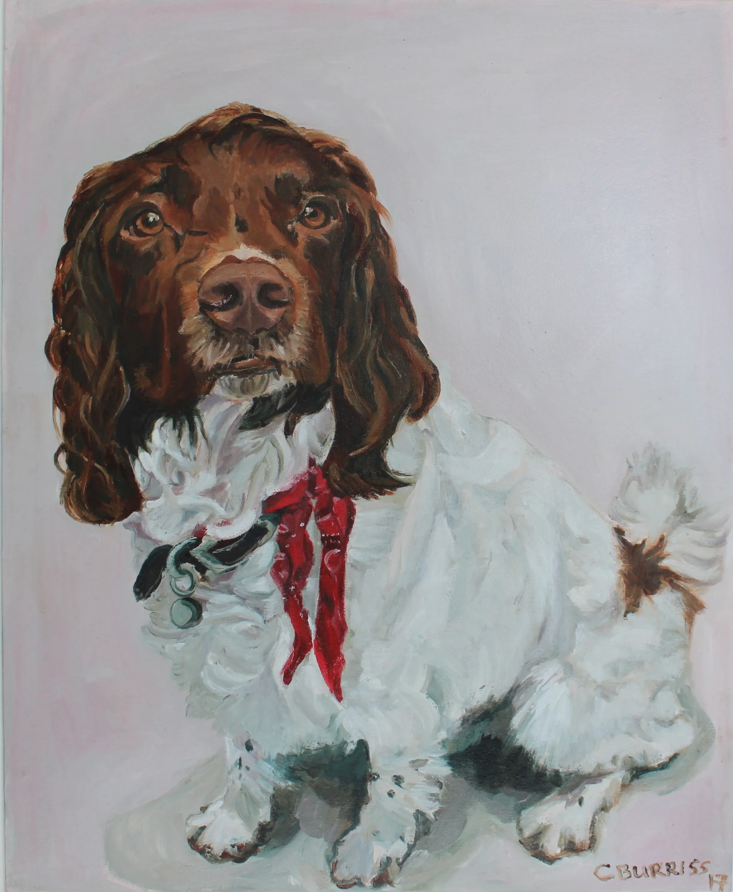 'Charlie' by Claire Burriss.JPG