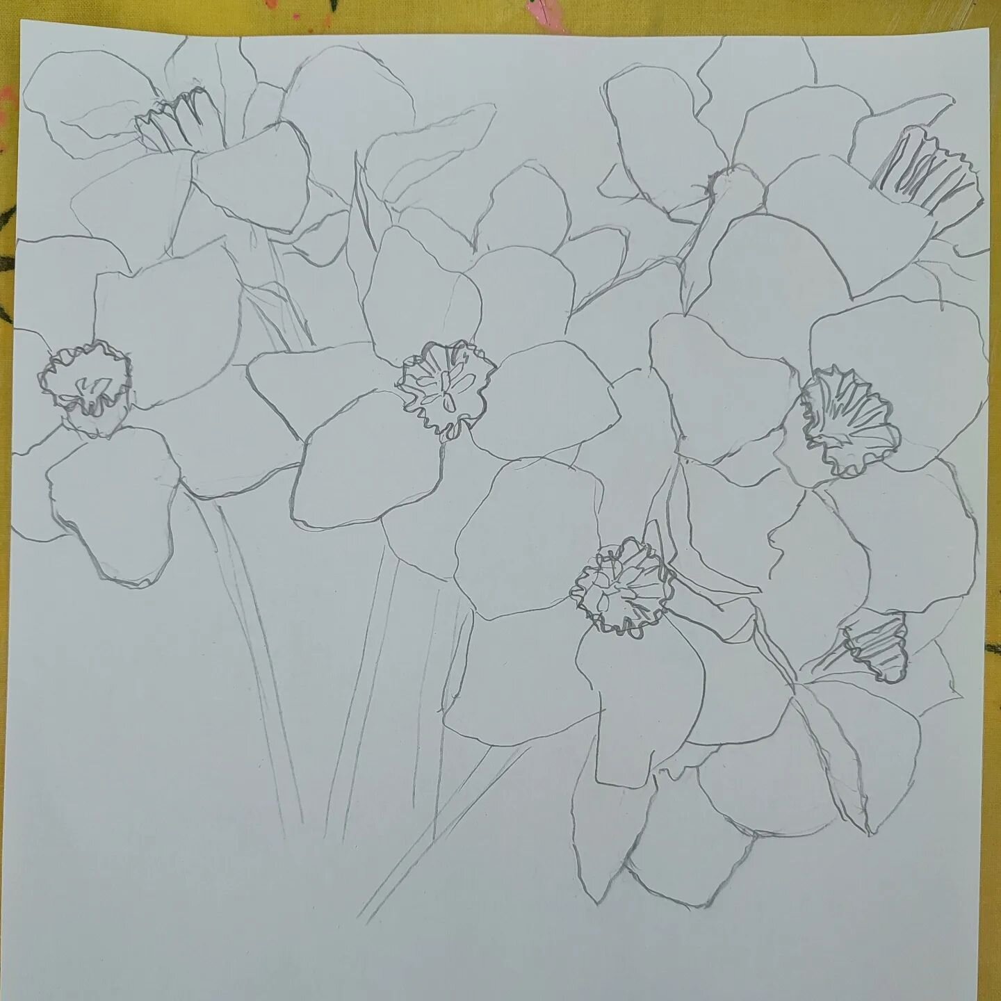 A daffodil sketch in pencil....

I'll be exhibiting at the Caversham Arts Trail starting next weekend!
 
Sat 13th and Sun 14th May 
Sat 20th and Sun 21st May 

Really looking forward to it. I'll be at venue 3 with 3 other artists @silhouettist @linda