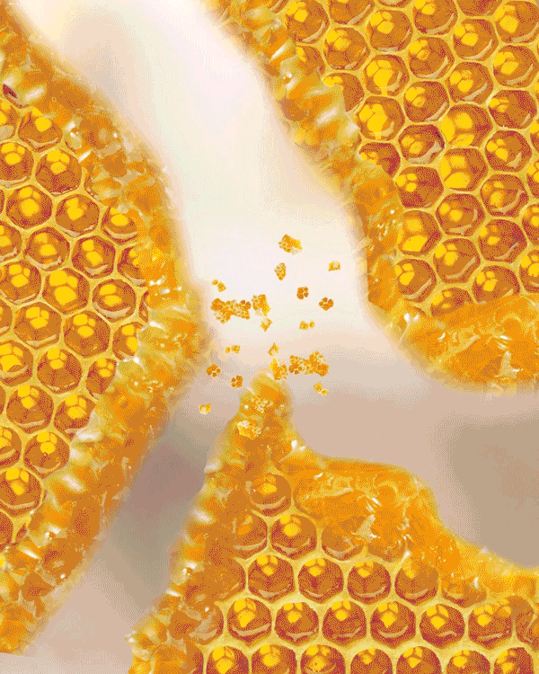 Honey_Shatter_800x1000_R3.gif