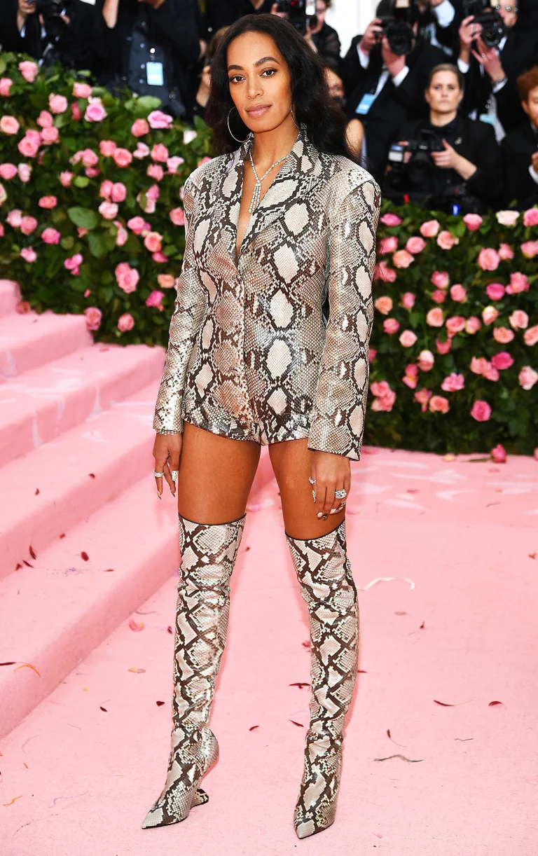 MET GALA 2019 RED CARPET SOLANGE.jpg