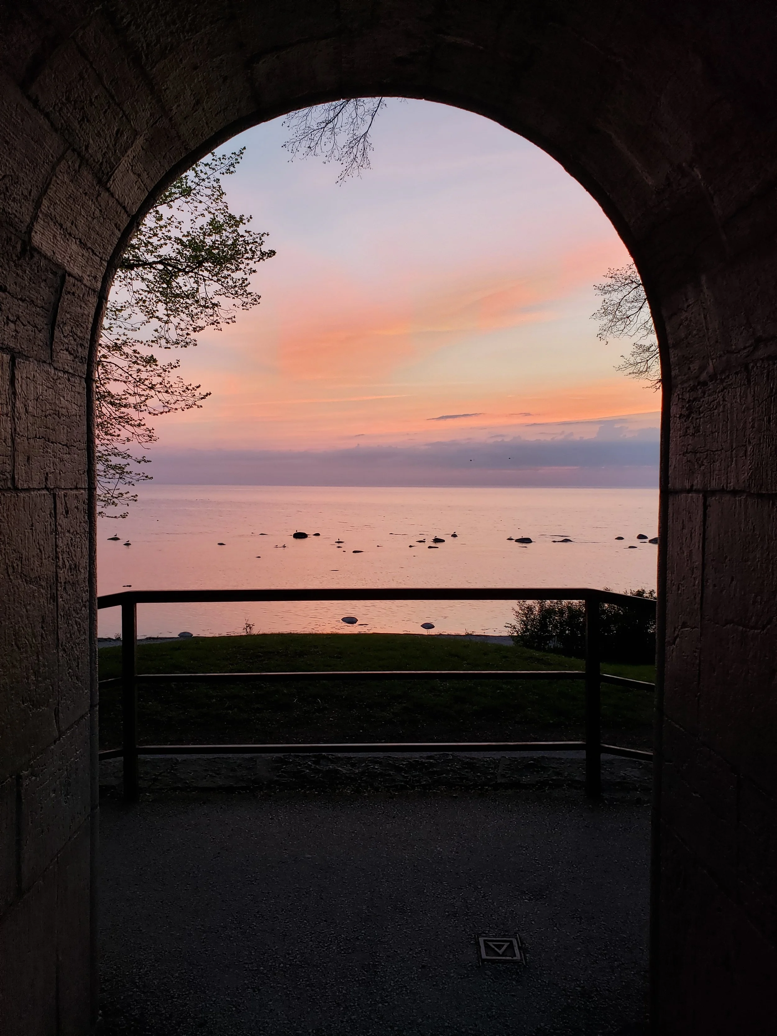 MSA GOTLAND EVENING.jpg