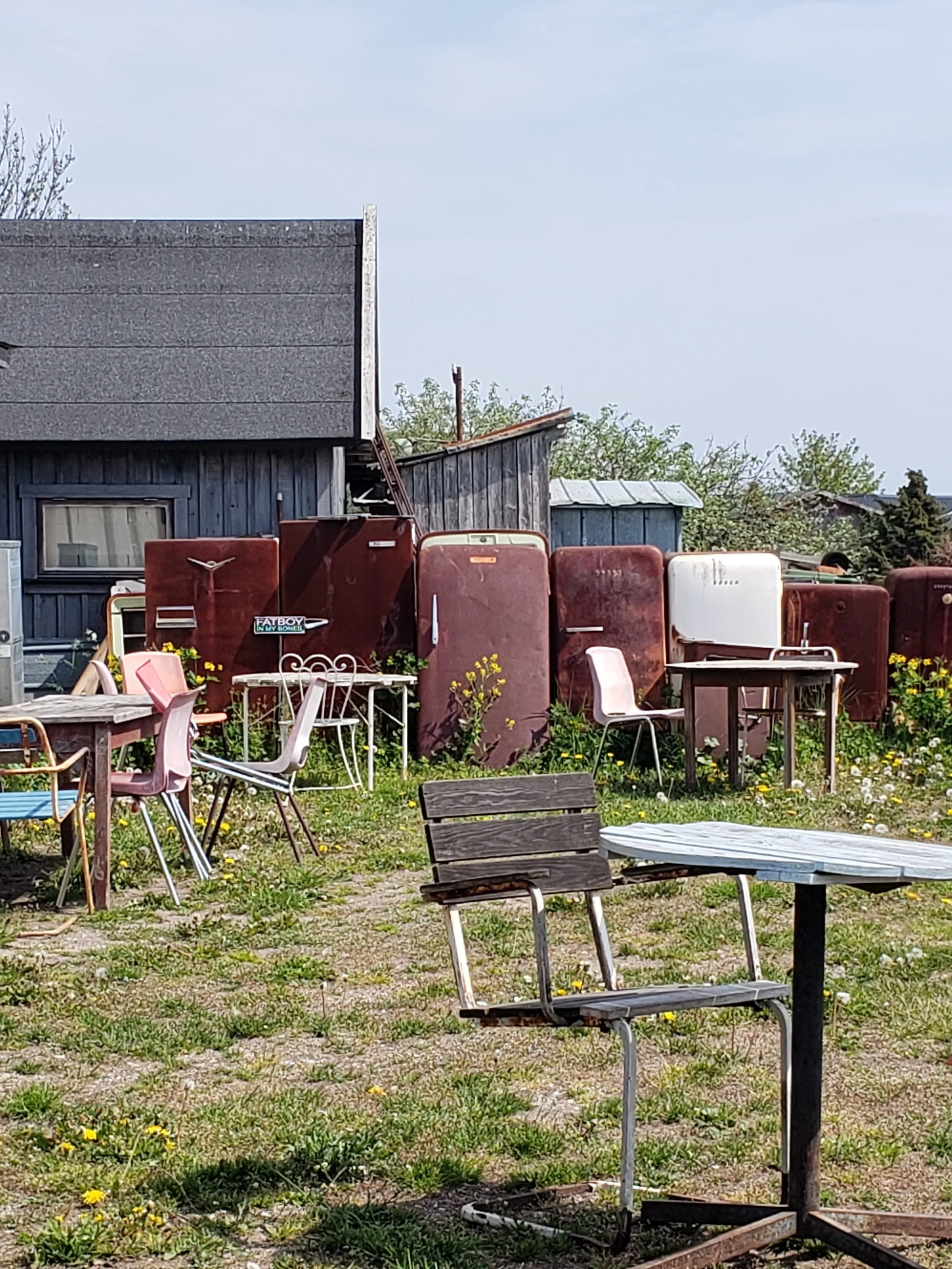 msa gotland lunch ambiance.jpg