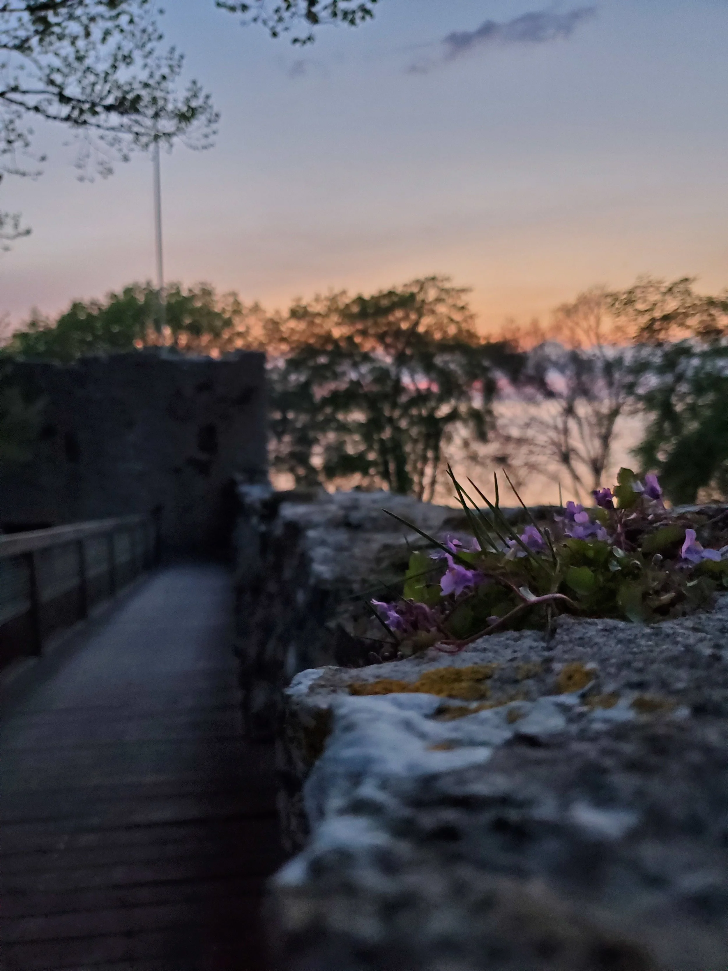 Sunset in Visby - photo cred Bennett Hayes