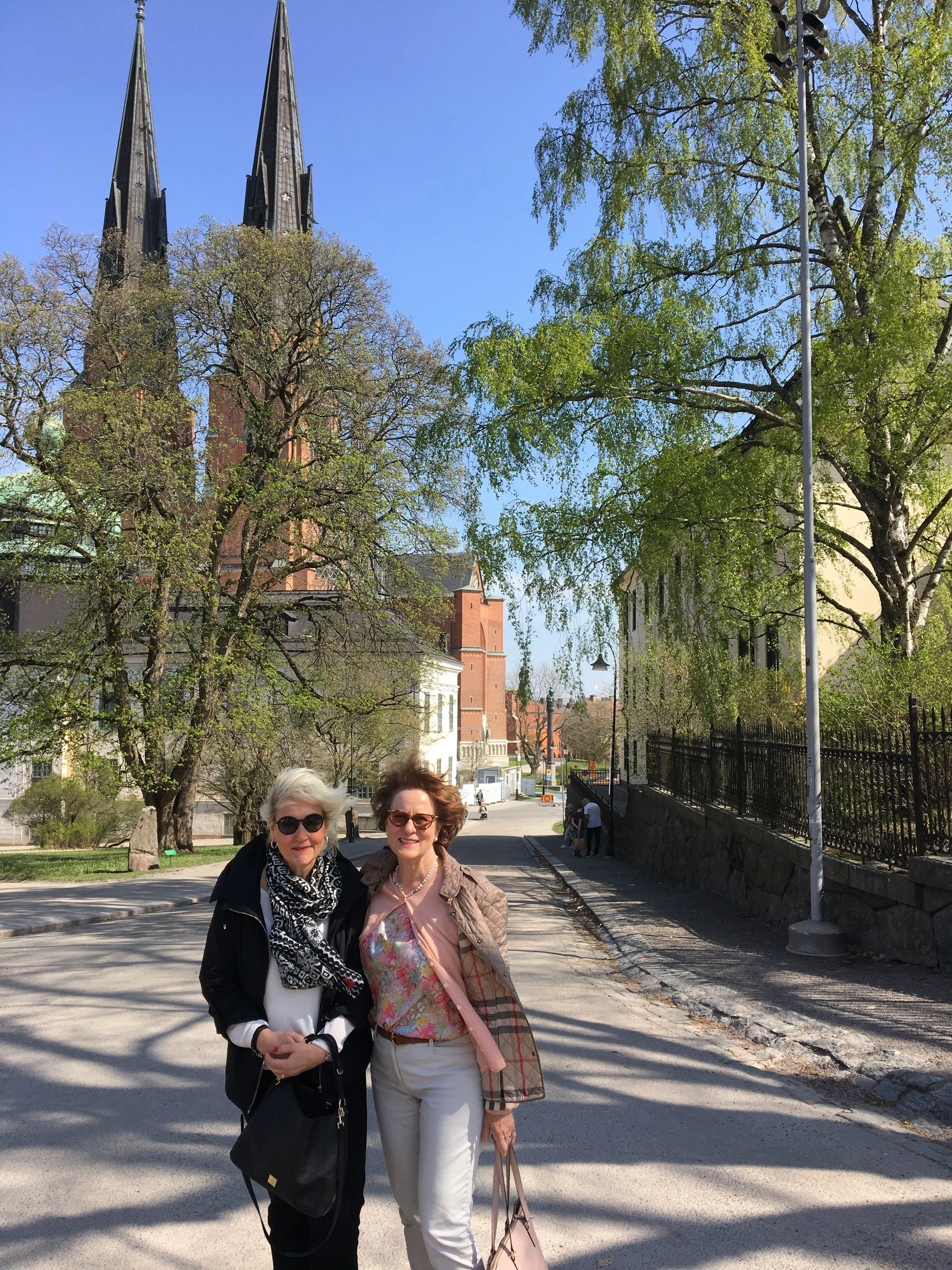 msa uppsala friends.JPG