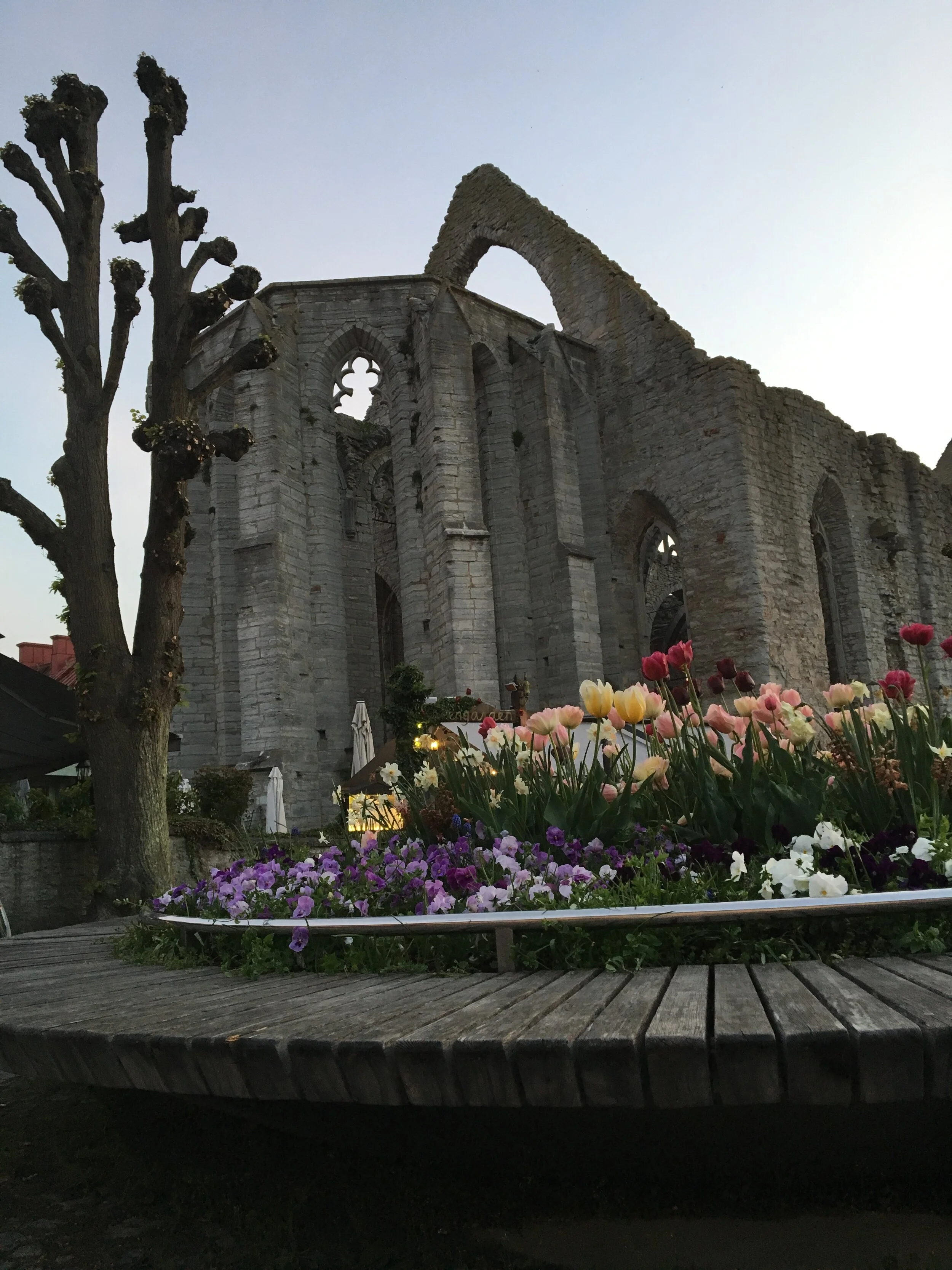 Mini Sweden Adventures