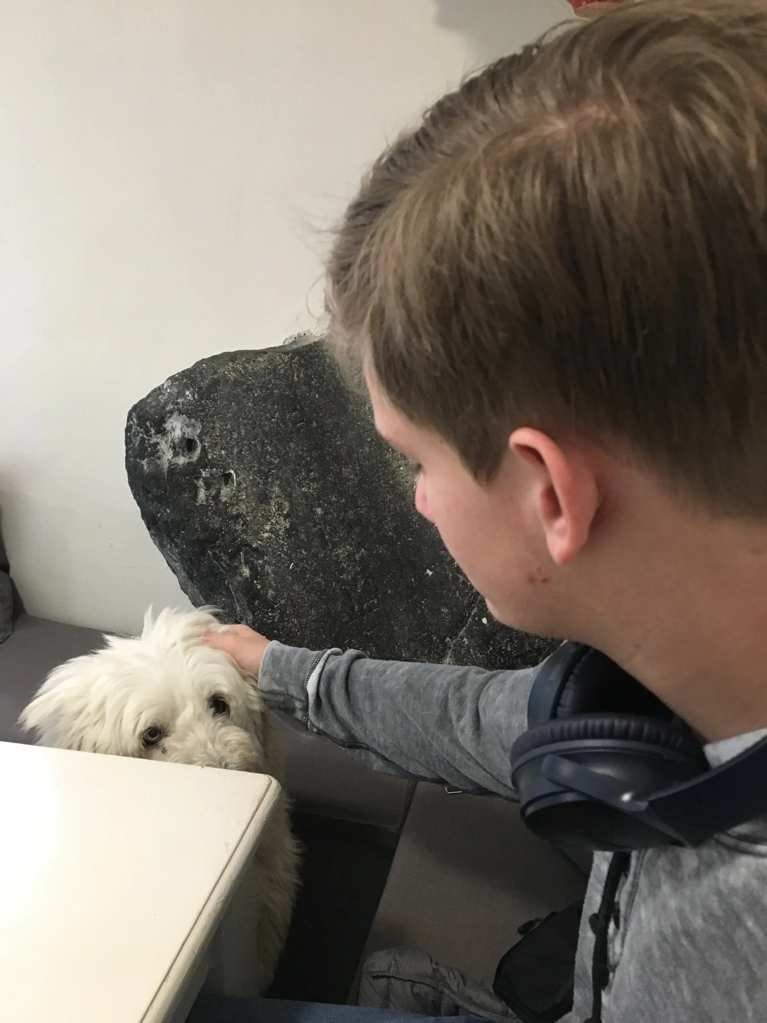 A new friend