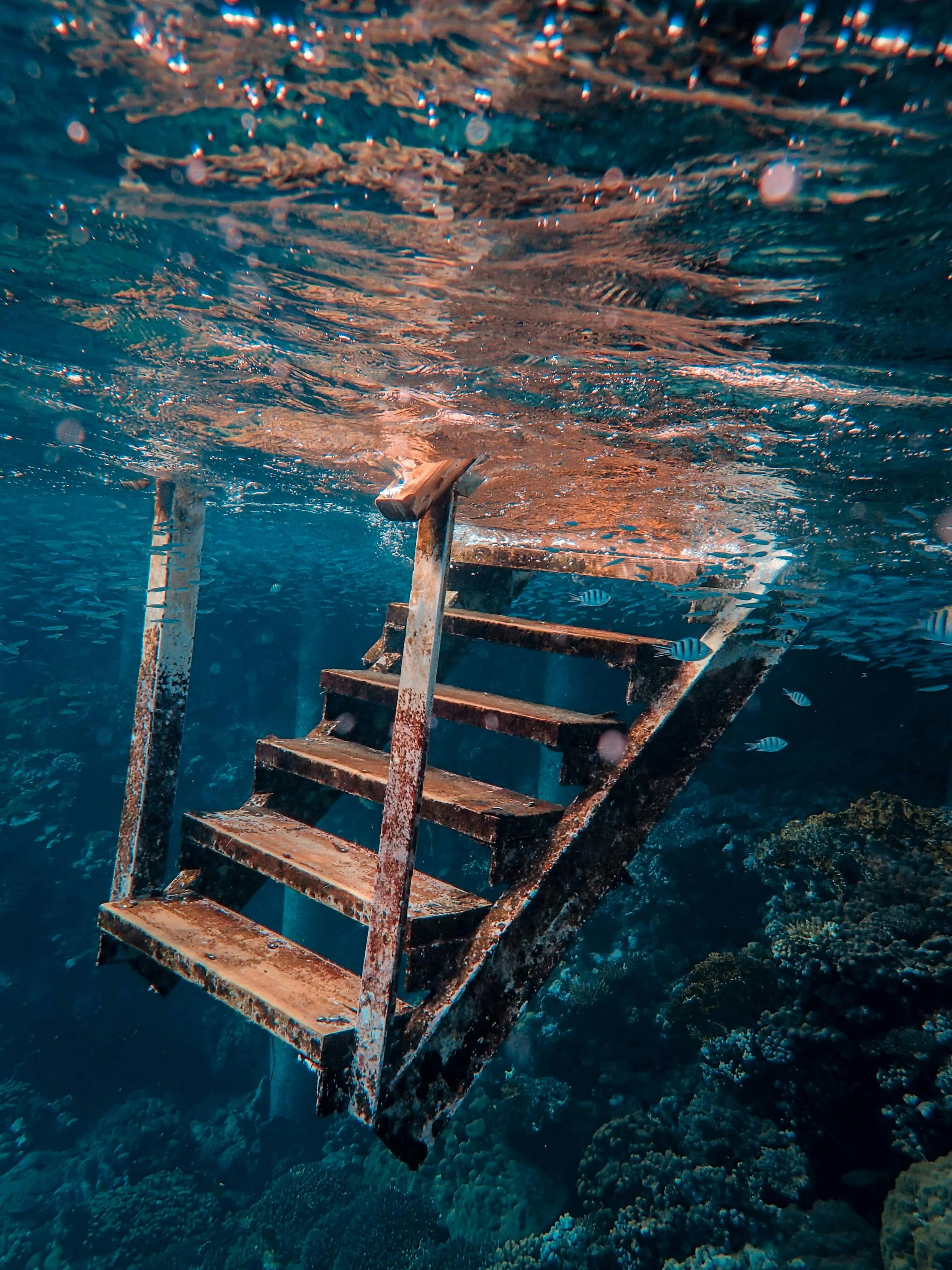 Into the Deep
