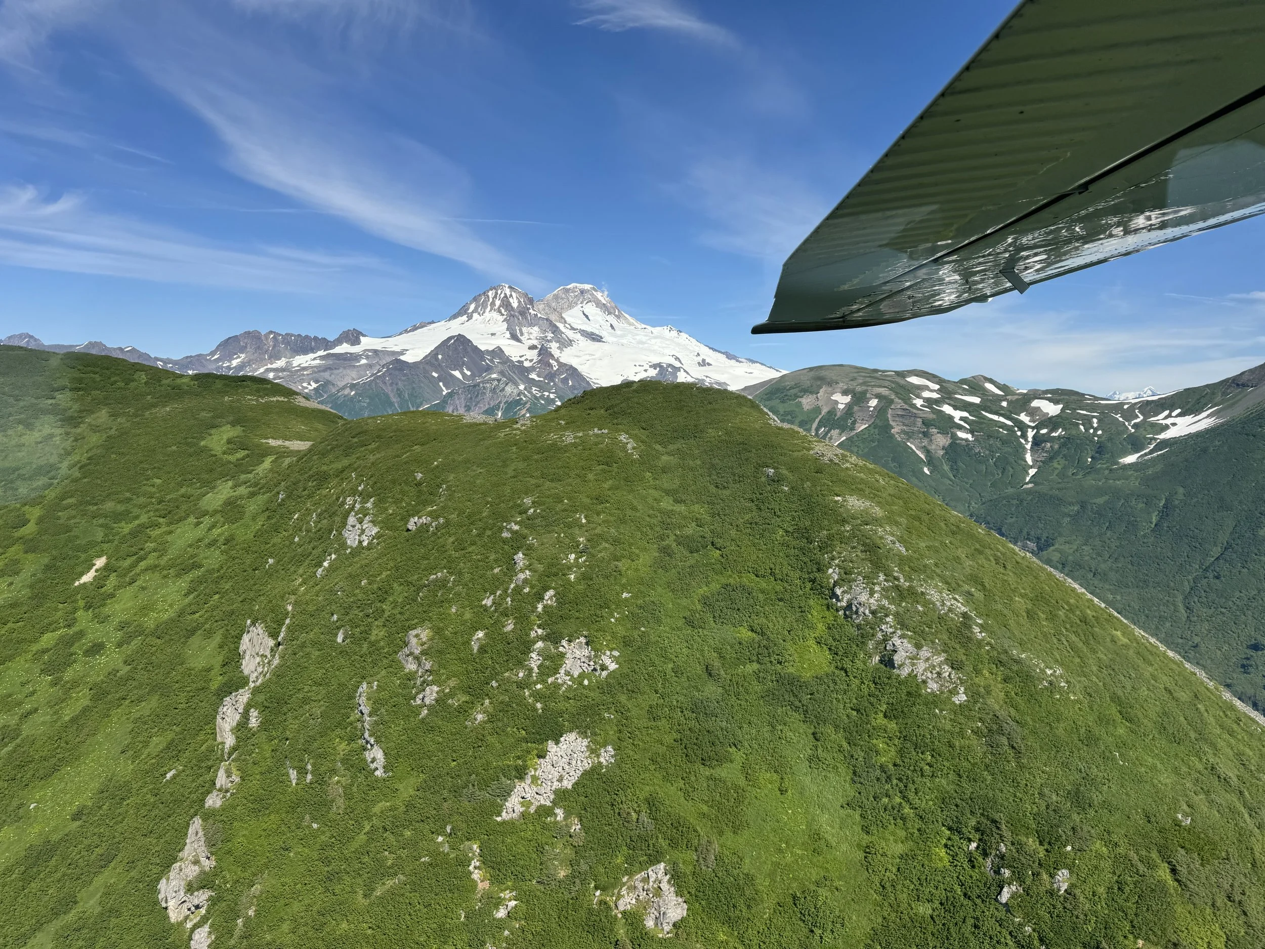 mountain by plane wing.jpg