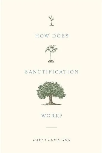 How Does Sanctificiation Work