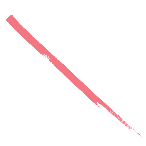 WSE-Logo.png