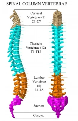 image2.jpg