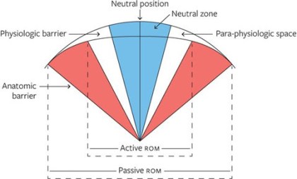 fig1_2.jpg