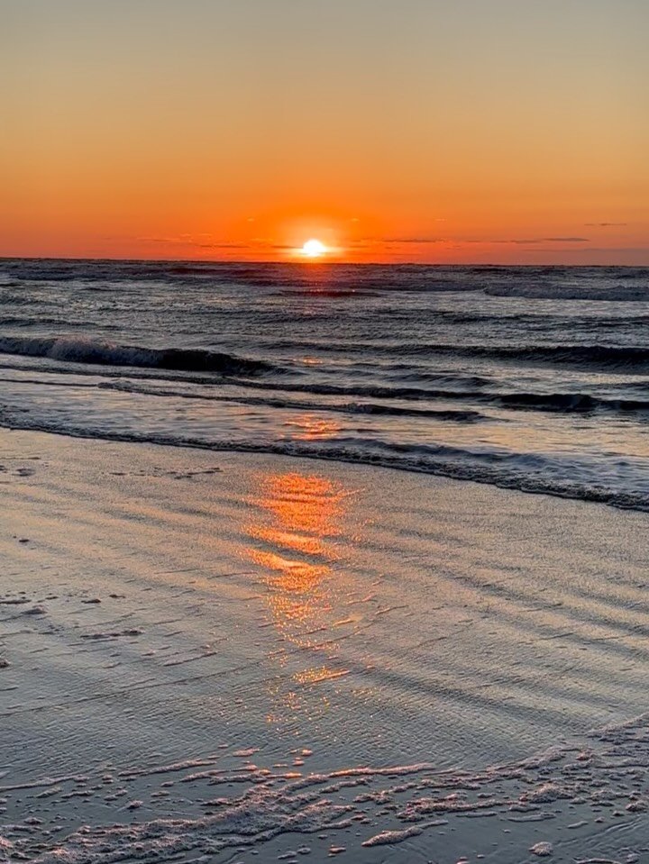 The boys are back in town 🌅🐚

Oyster catchers are back on the shoreline! I love these birds for their cute sounds, their bright beaks and that they&rsquo;re always in a pair. 

I also just learned that the Irish call them Gille Brighde, the guides 