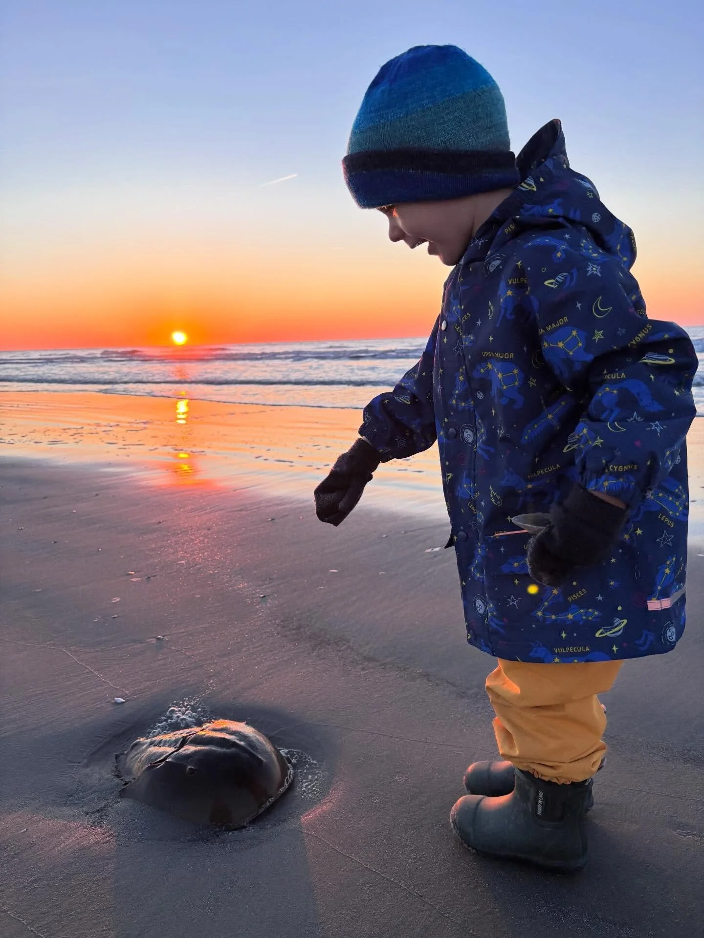 Palm Sunday Sunrise with my lil man 🐚

#sunrise☀️ #wildwoodnj #dowildwood #palmsunday🌿⛪️🙏