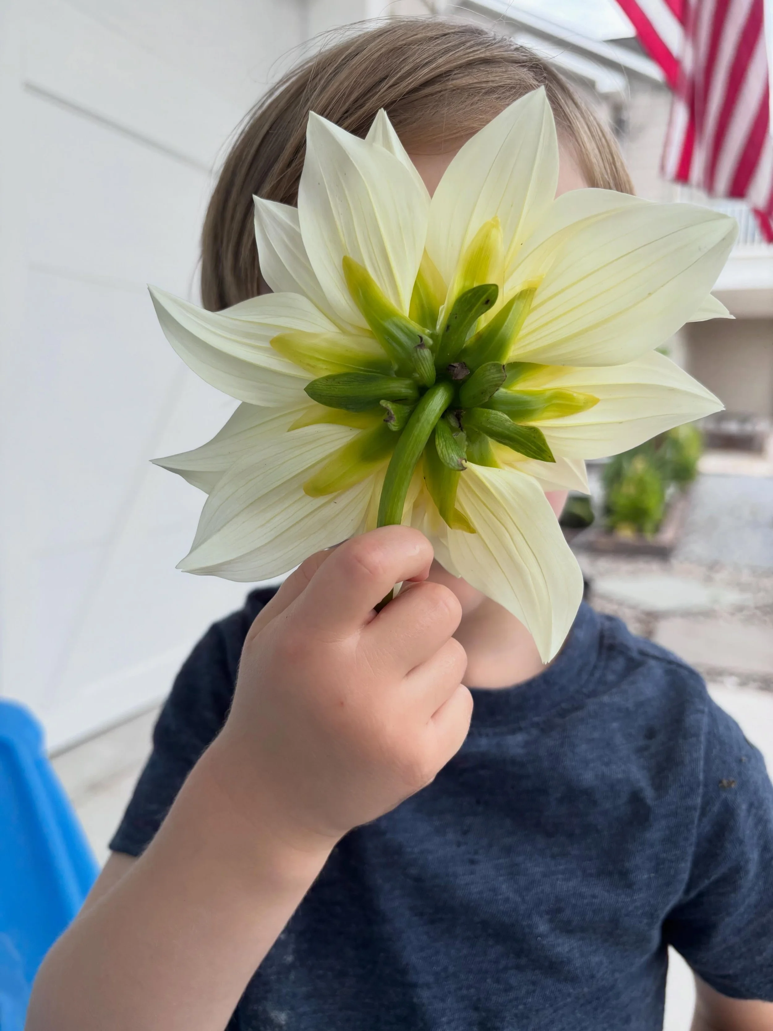 Marshall&rsquo;s flower stand 🌻

Some days we have more than we need in the garden so we&rsquo;ve been sharing them down the street! Love his love for small things that grow. 🏵️

Today a man that took a bundle told him, &ldquo;thank you for sharing