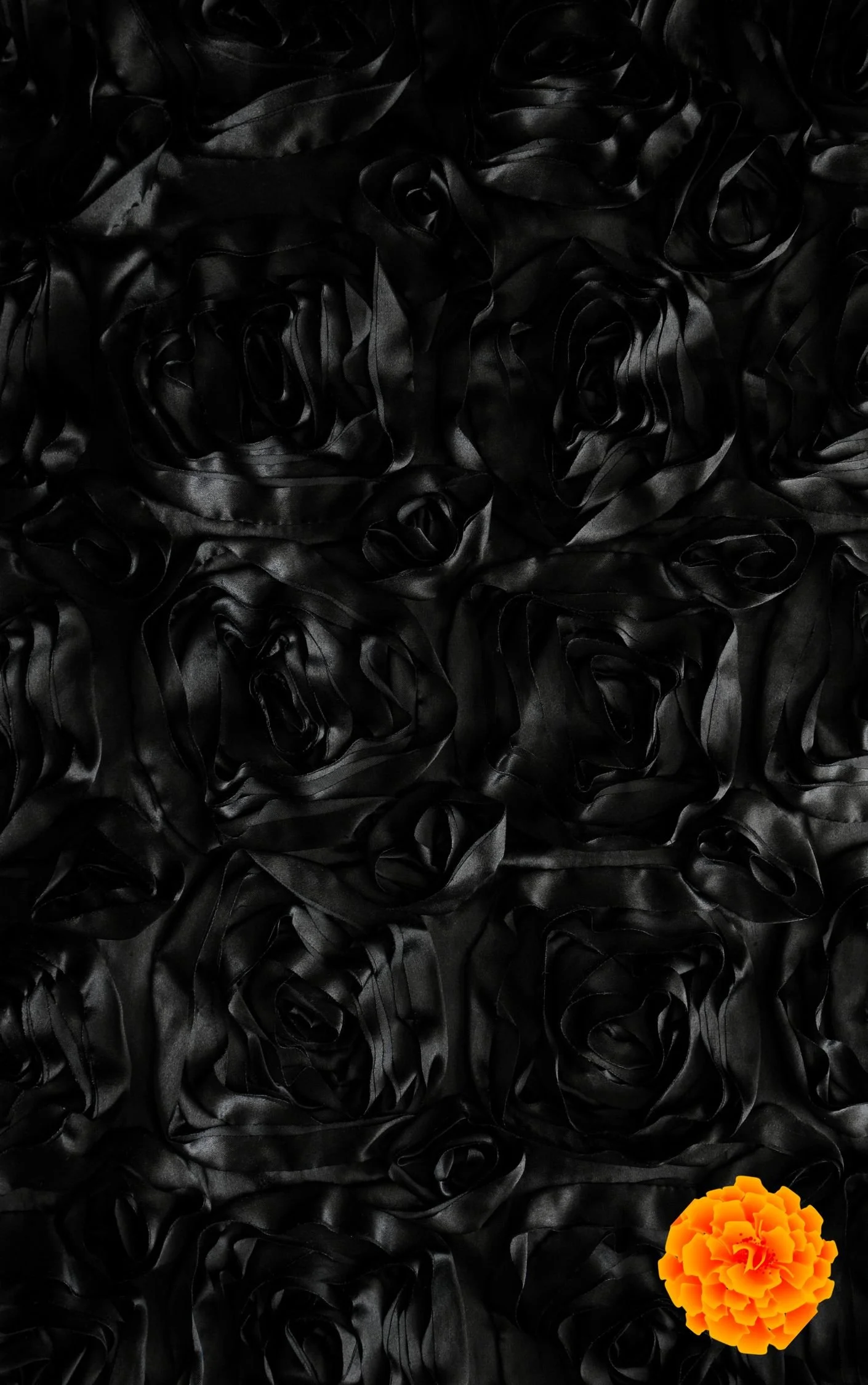 Copy of Graveyard Book Cover.jpg