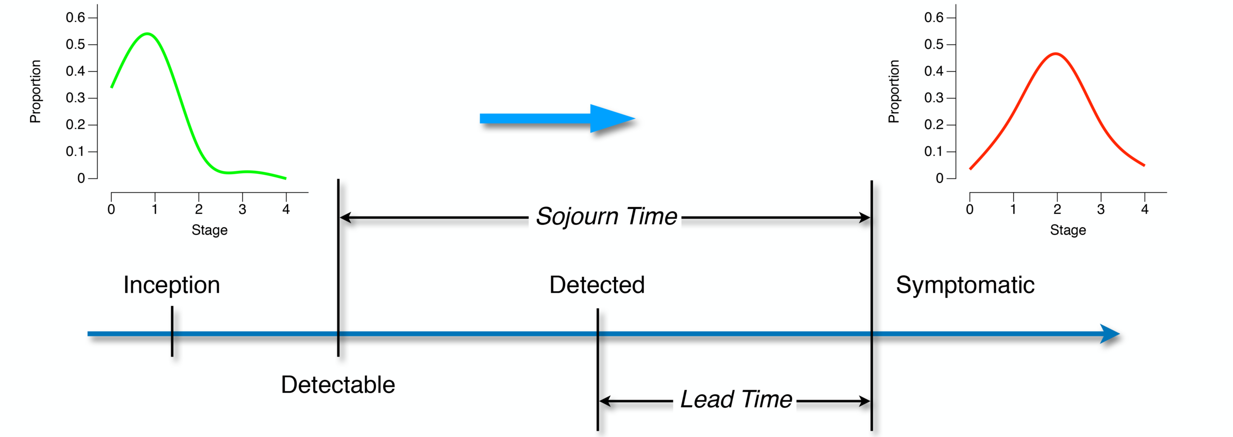 Screening Theory.png
