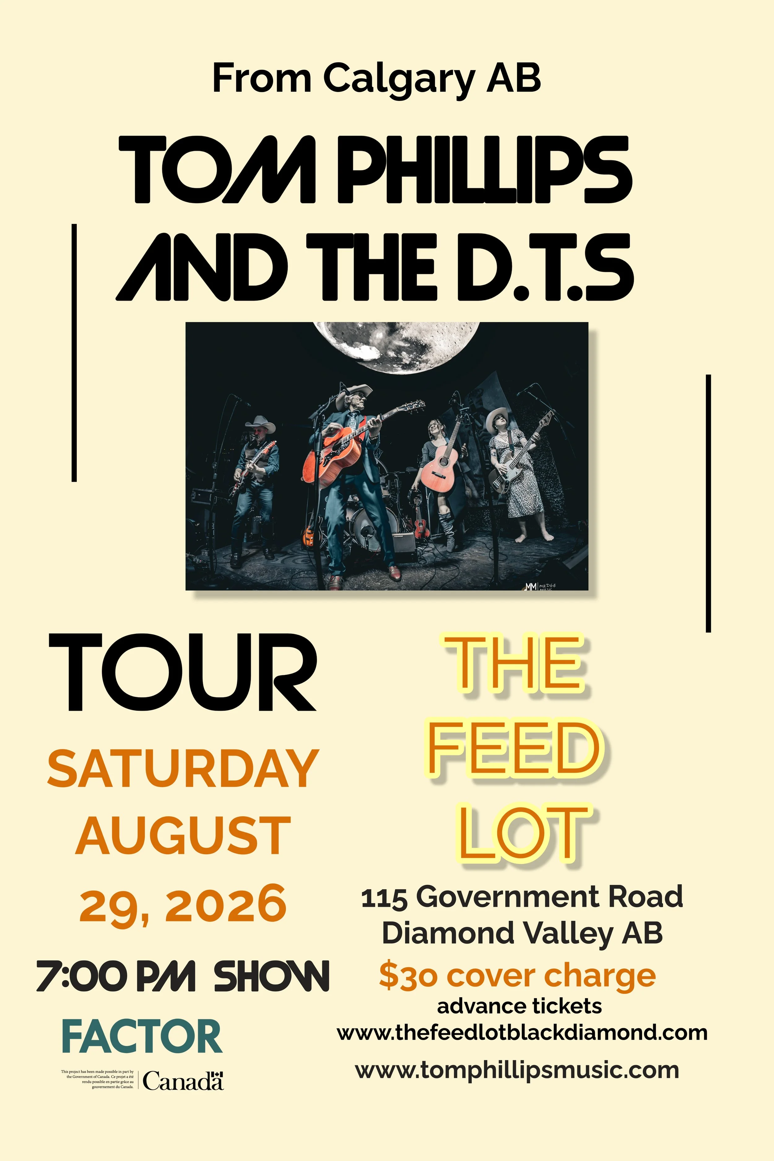 Tom Phillips and The D.T.s Diamond Valley tour artwork from the official artist itinerary