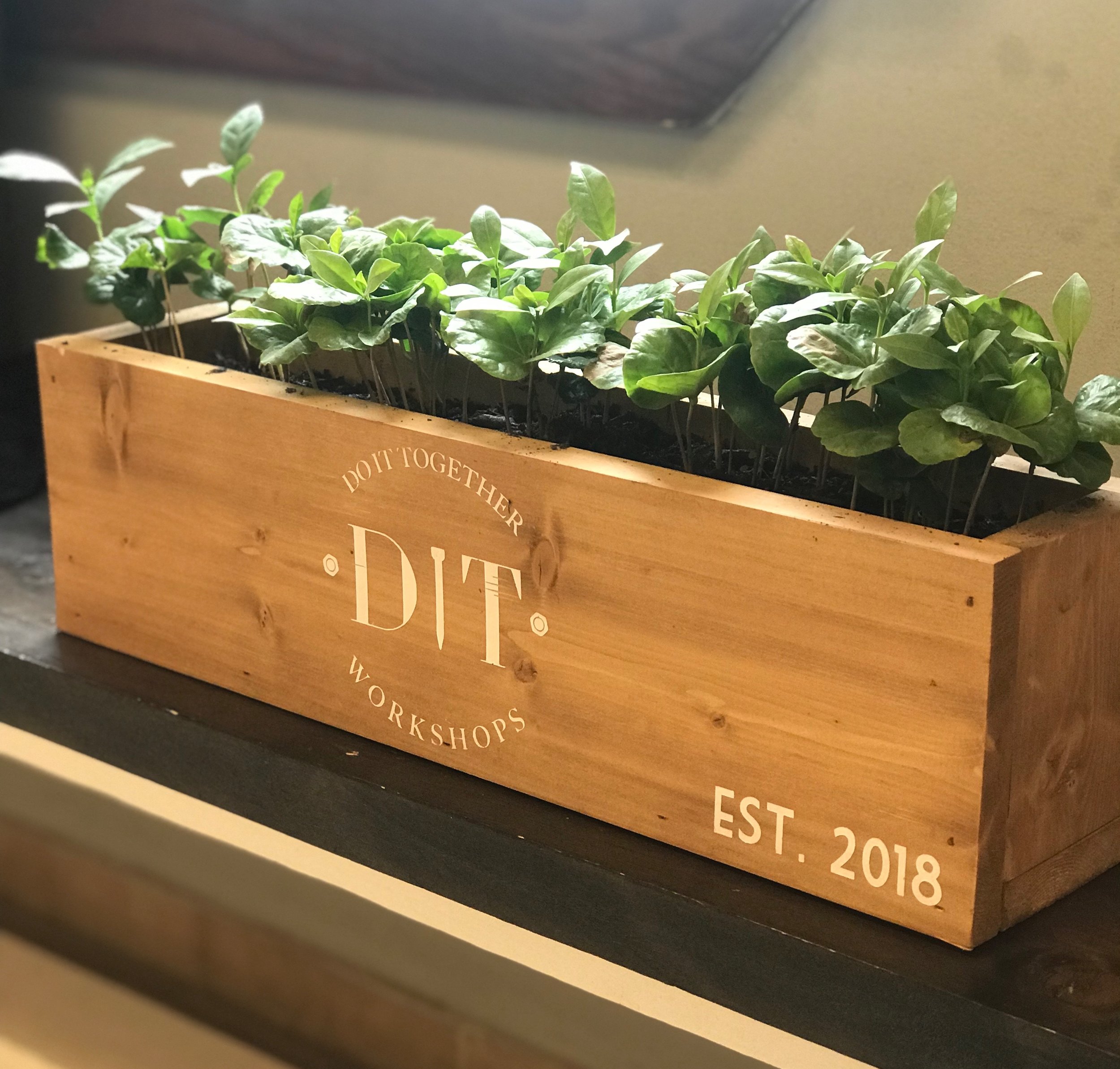🎨 20" Planter | 5" x 8.5" | $38