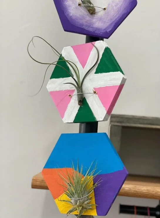 Magnet Air Plant