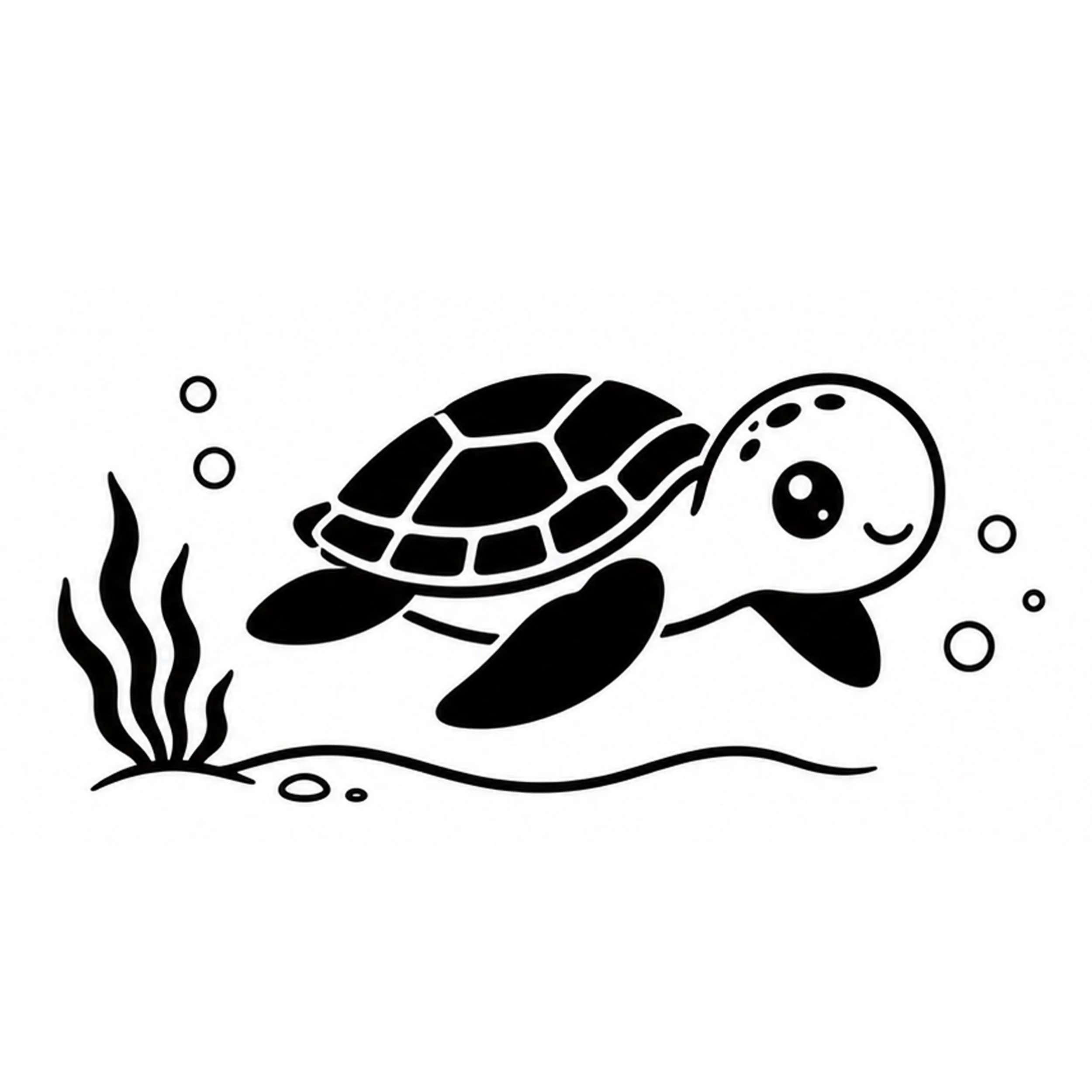 Baby turtle