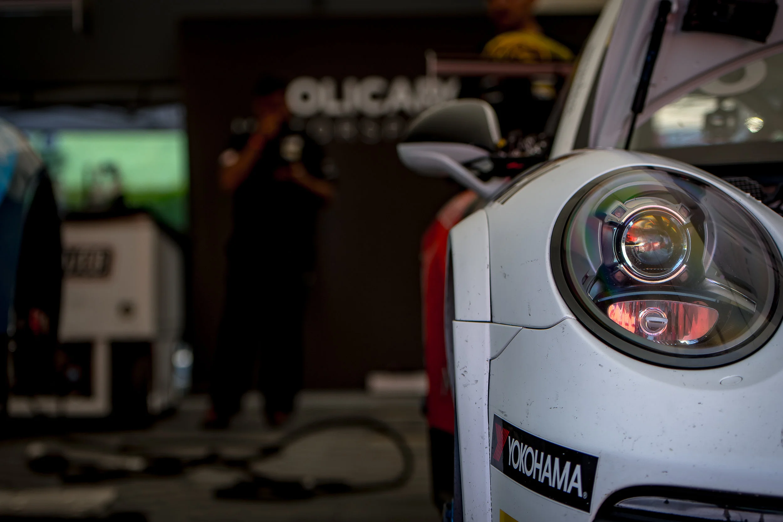 MM5_7245.jpg